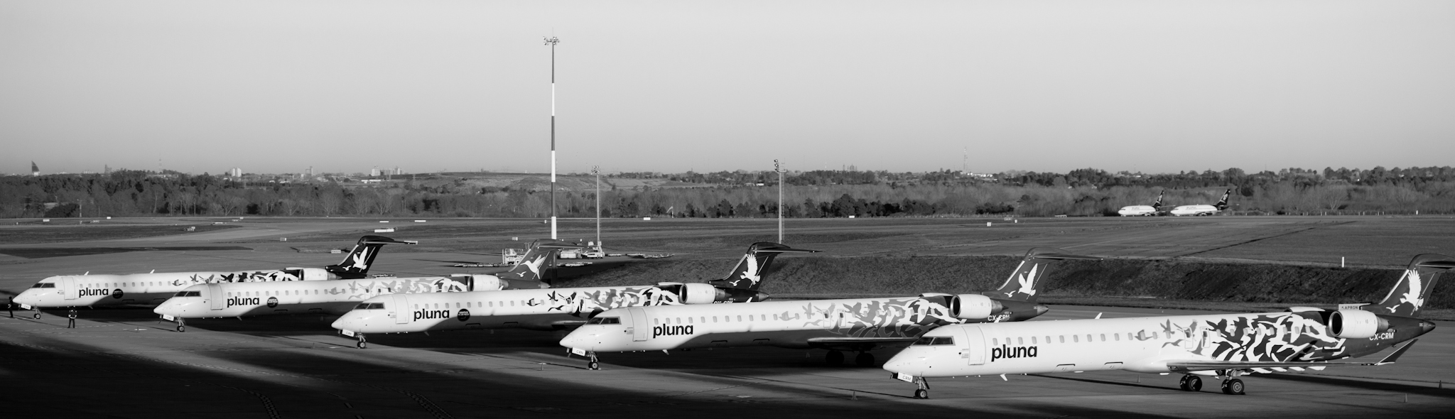Pluna airplanes 120709-3341-jikatu