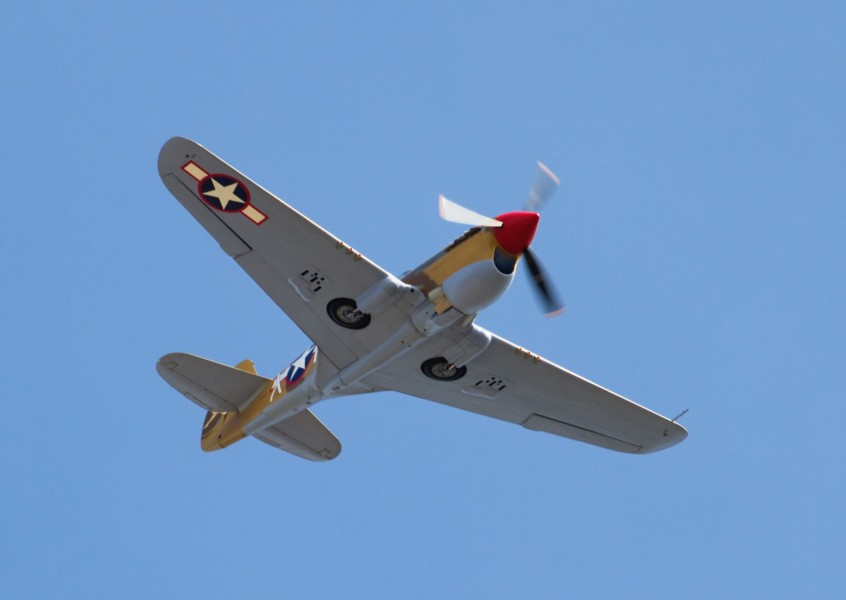 Curtiss P-40F Warhawk 41-19841 6a (6116222572)