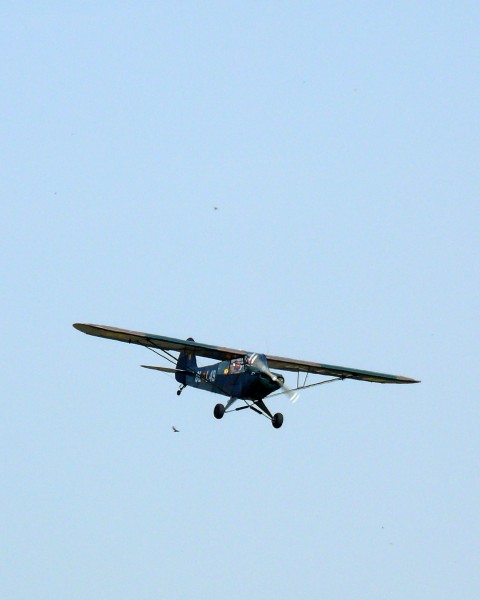 Piper L18C Super Cub 2