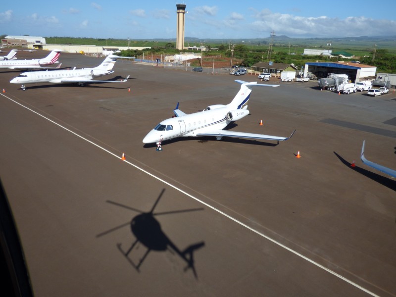 Starr-180305-0217-Leucaena leucocephala-view airport private planes and tower-Kahului-Maui (41237056771)