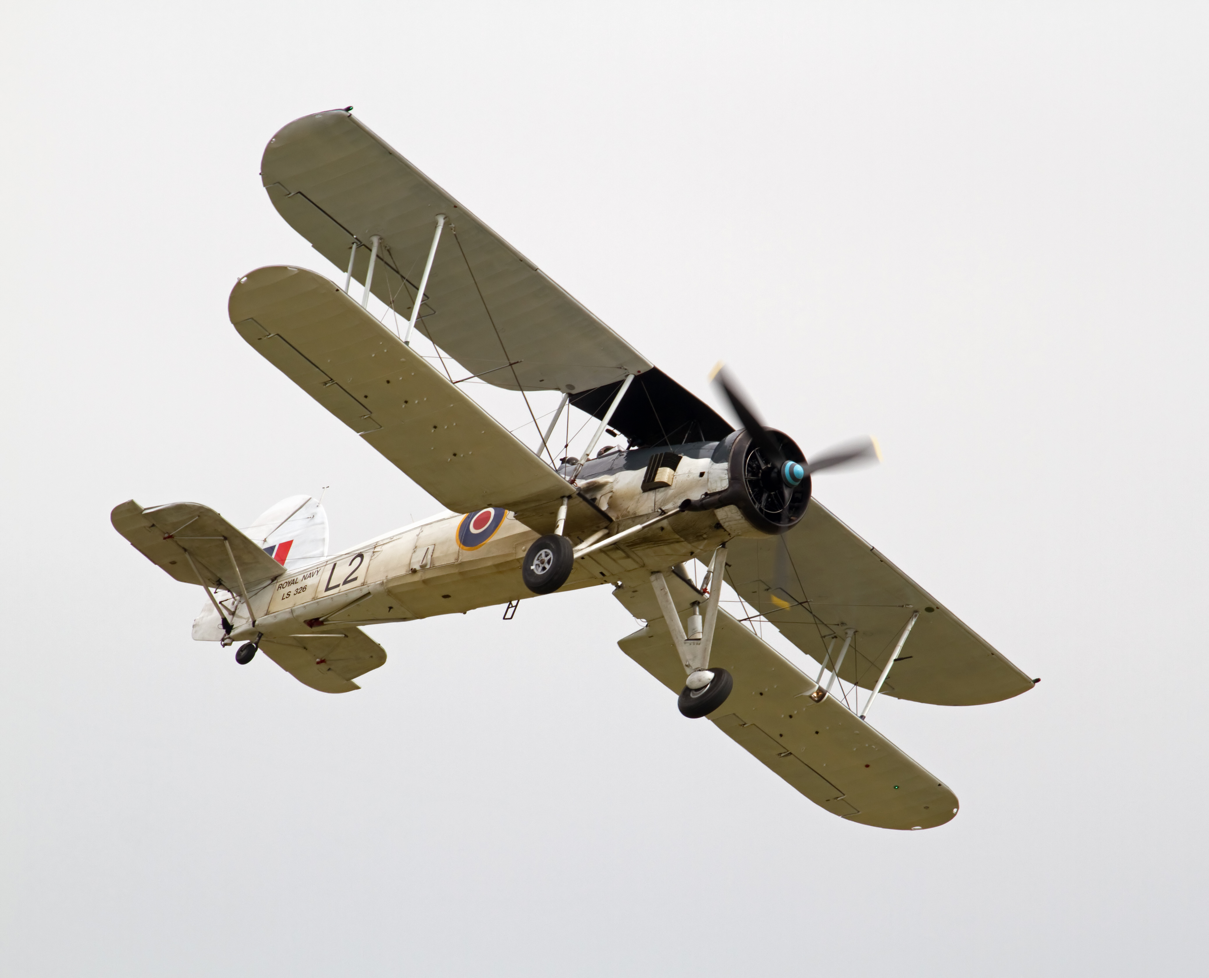 Swordfish 4 (5921763047)