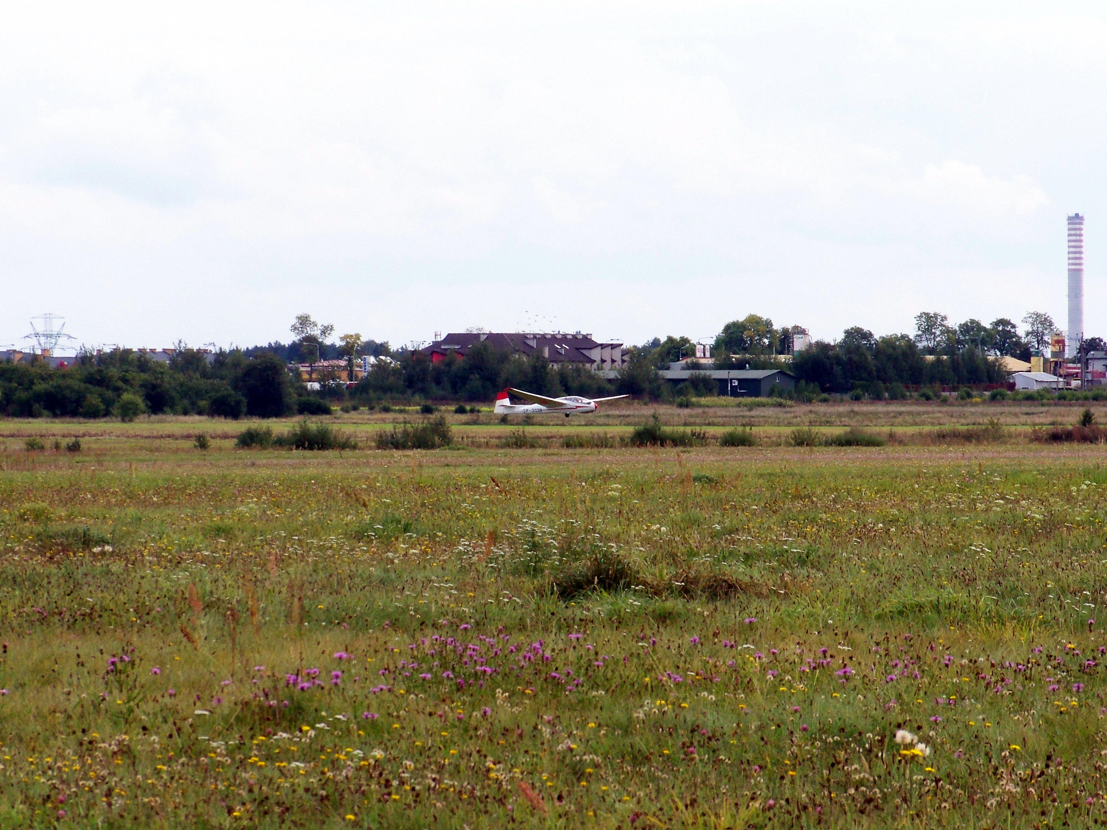 Wielogóra 1