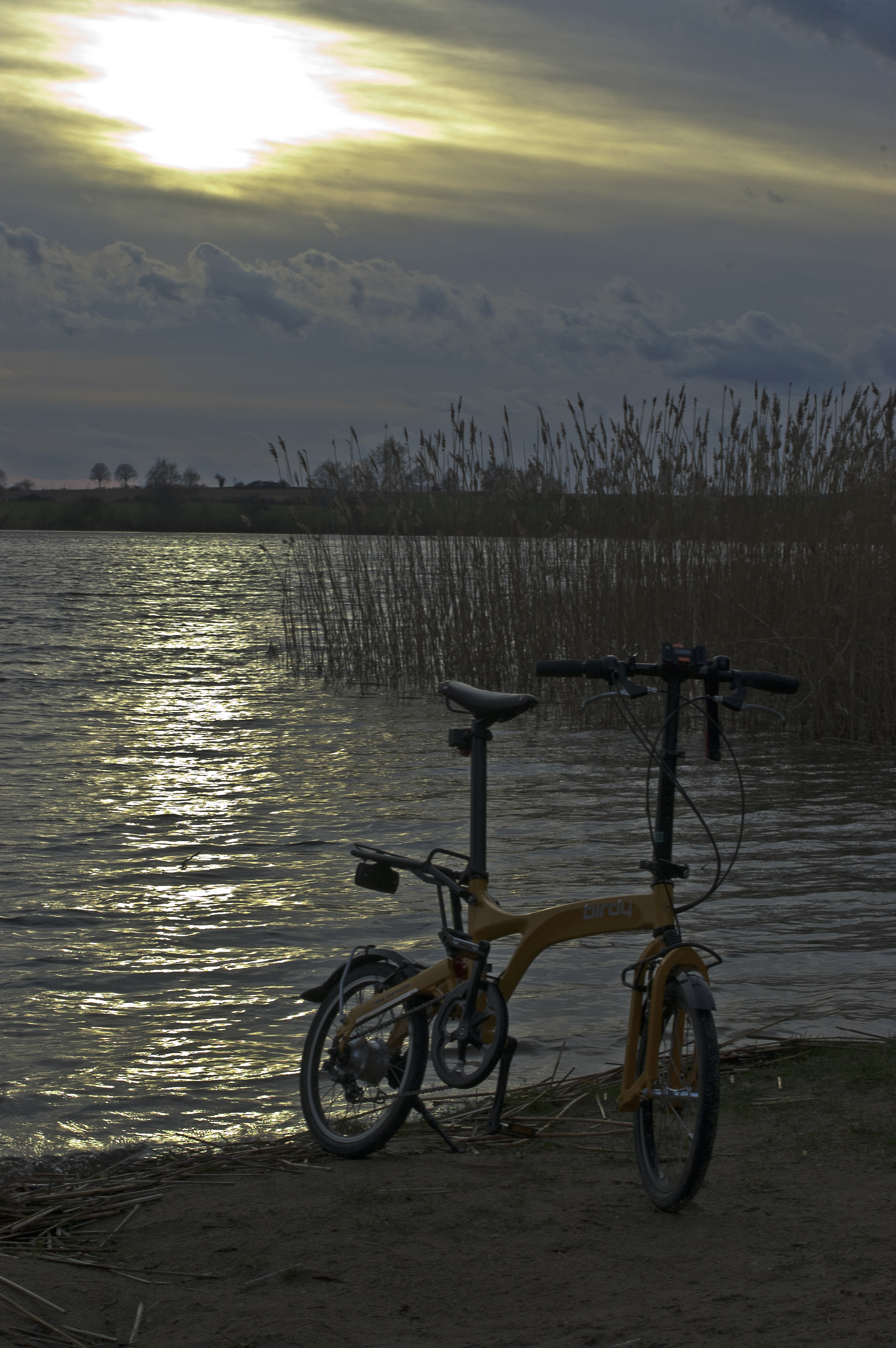 2011-04-07-birdy-by-RalfR-15