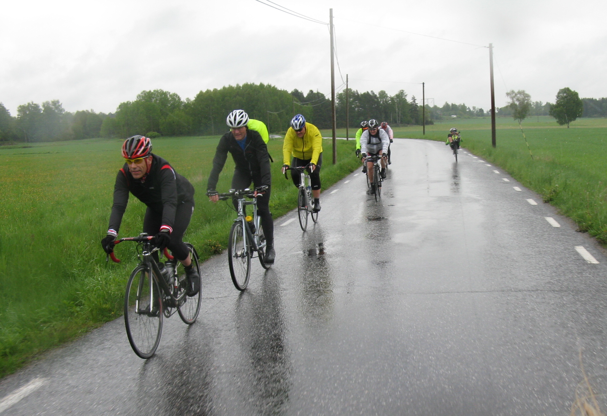 Audax rain