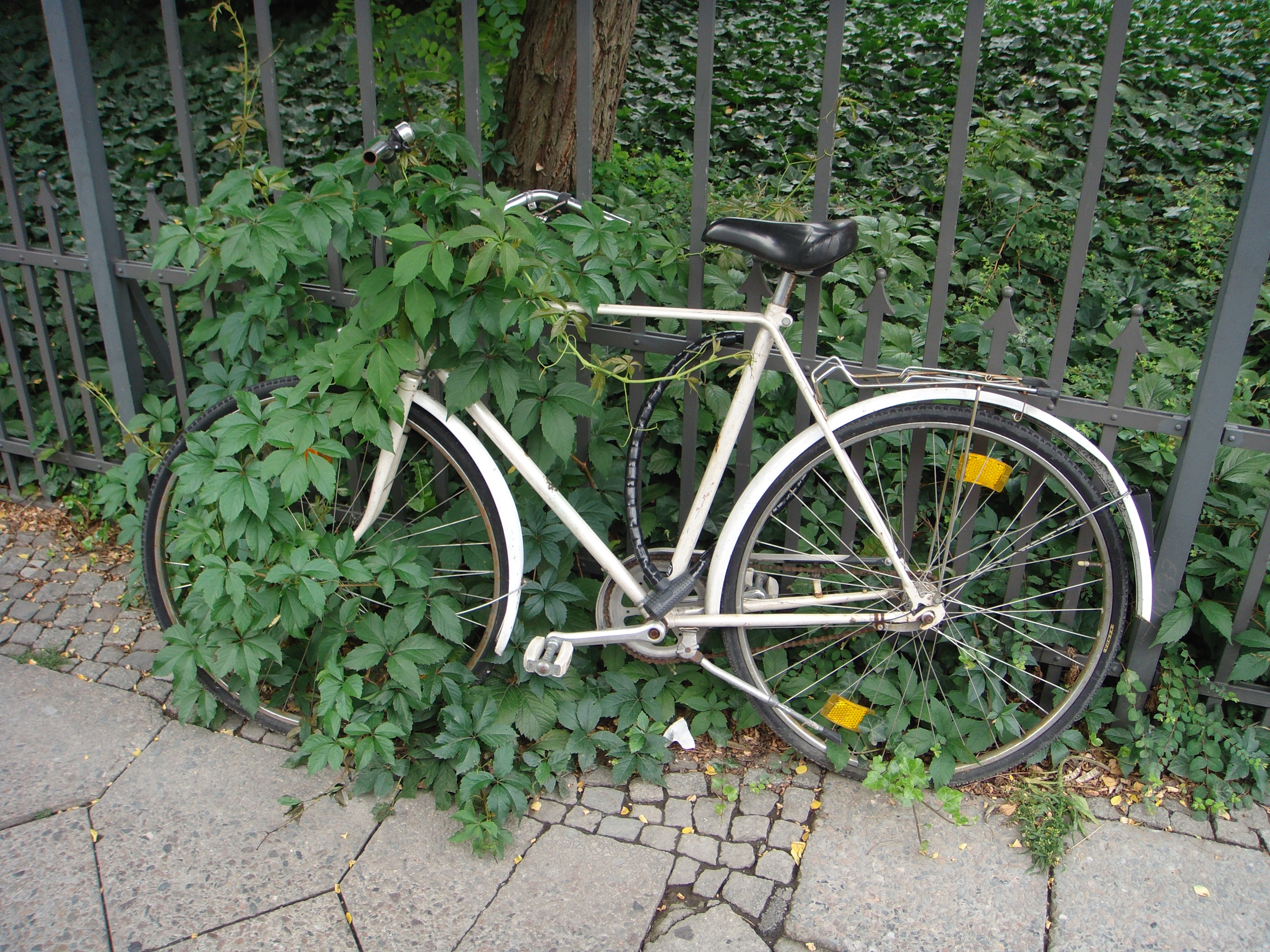 Bicicleta abandonada