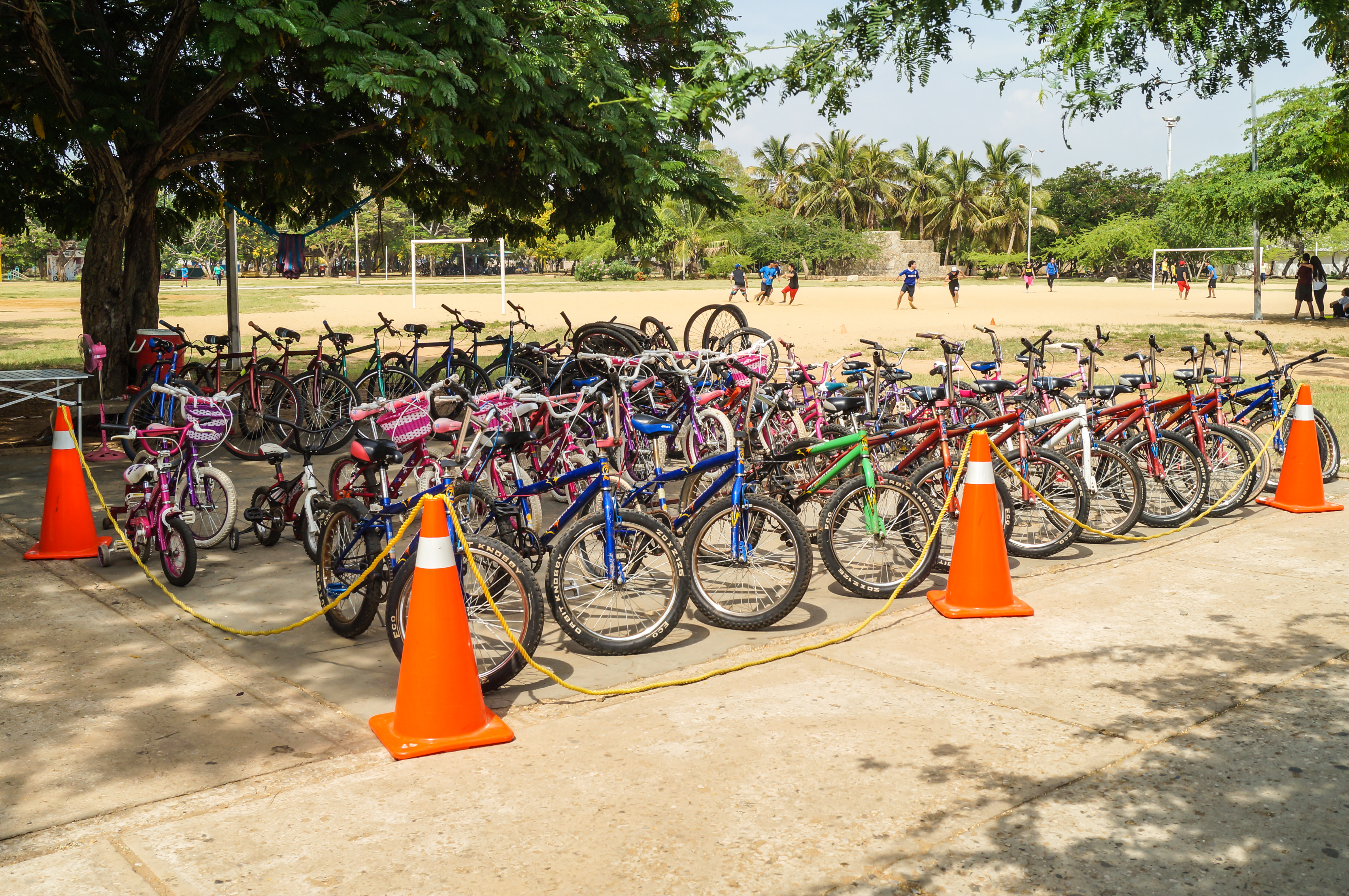 Bicicletas