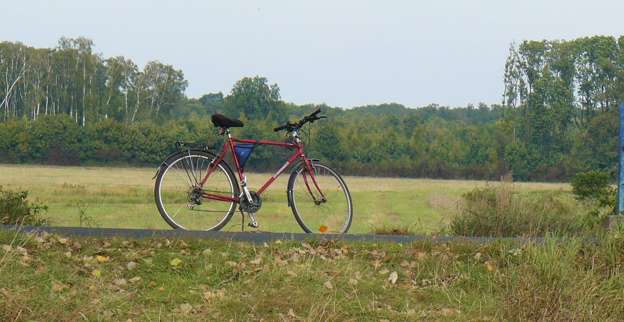 Bike (Pecna)