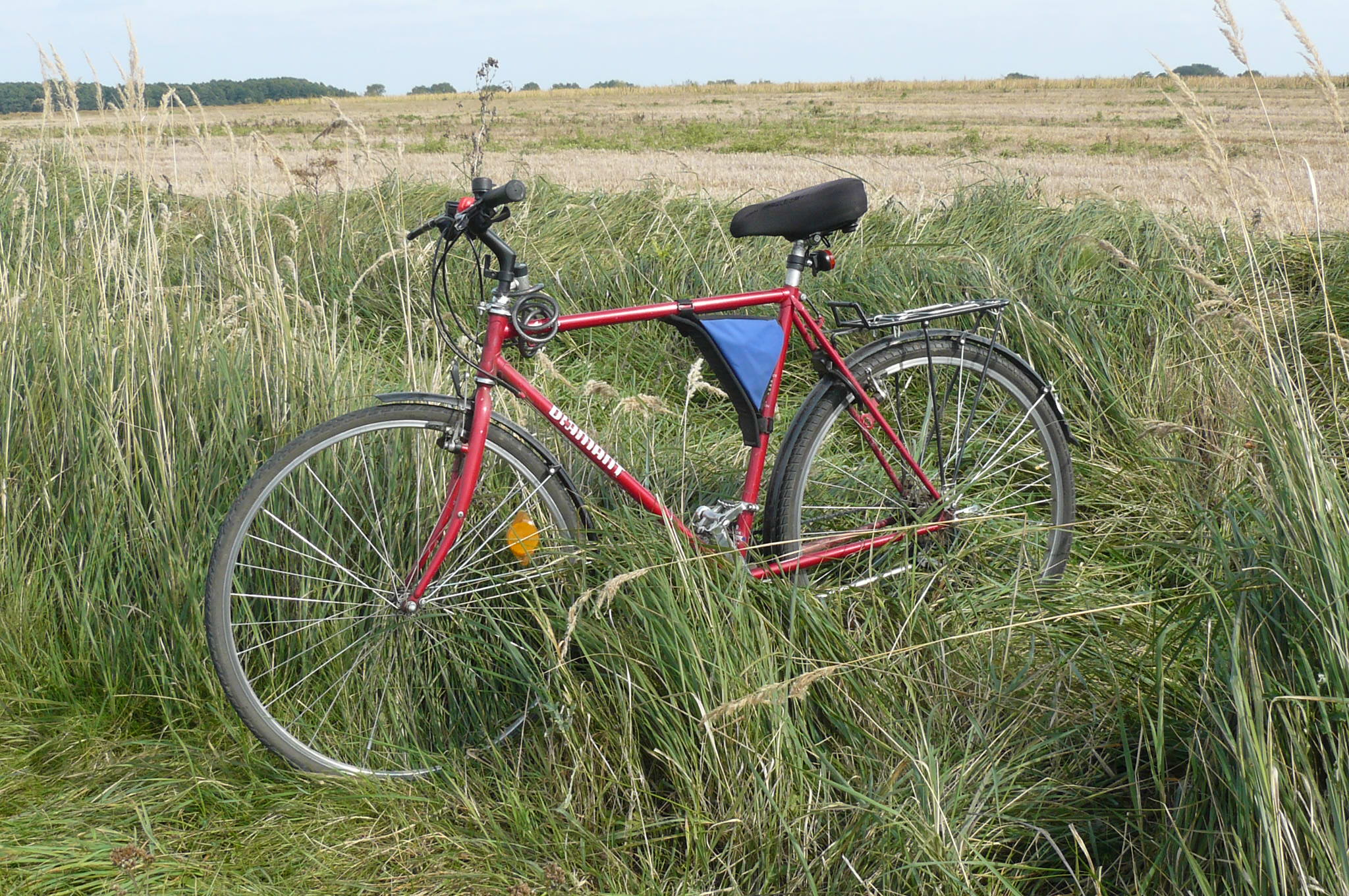 Bike (Stare Tarnowo 2)