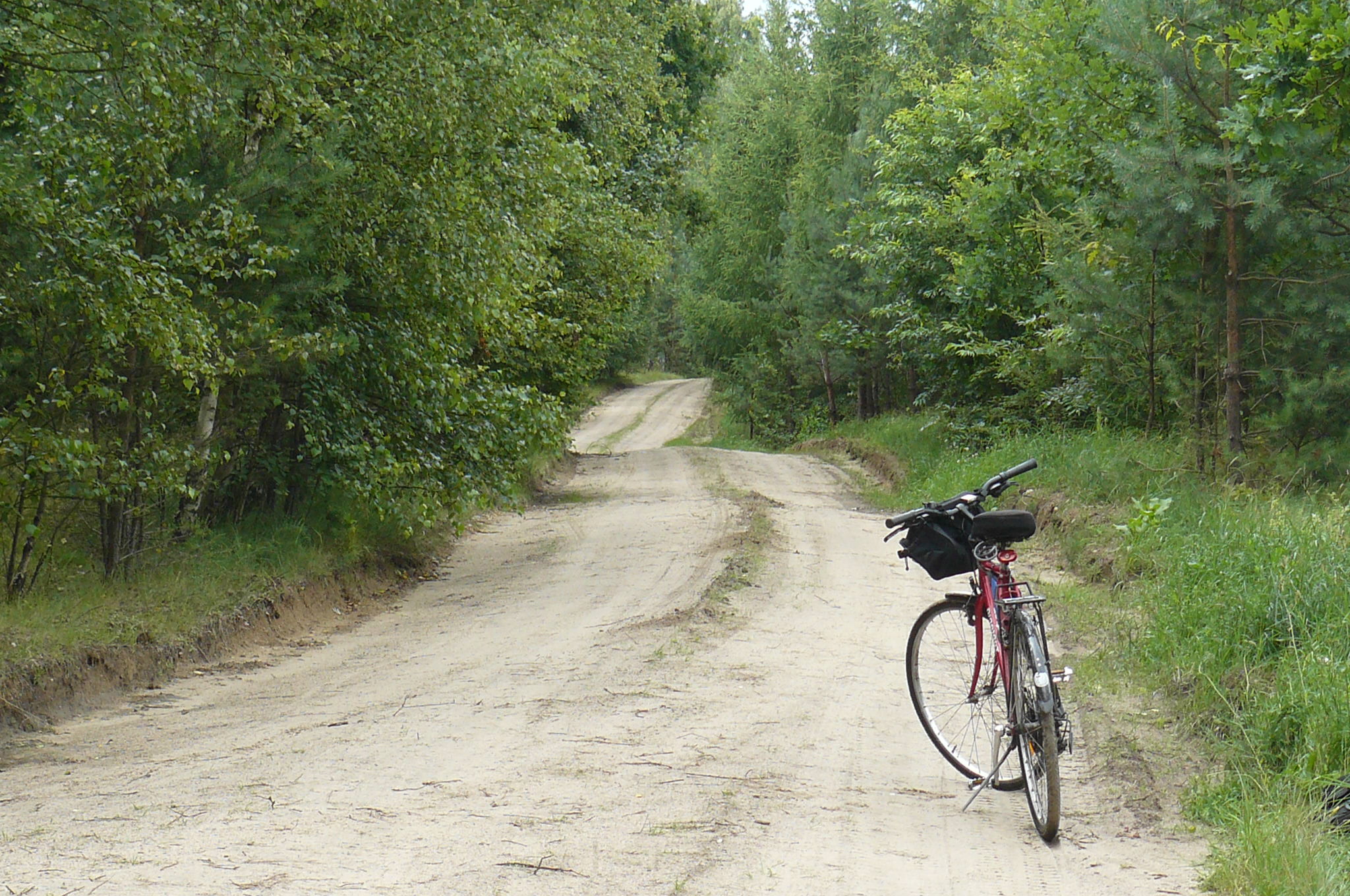 Bike in Puszcza Zielonka
