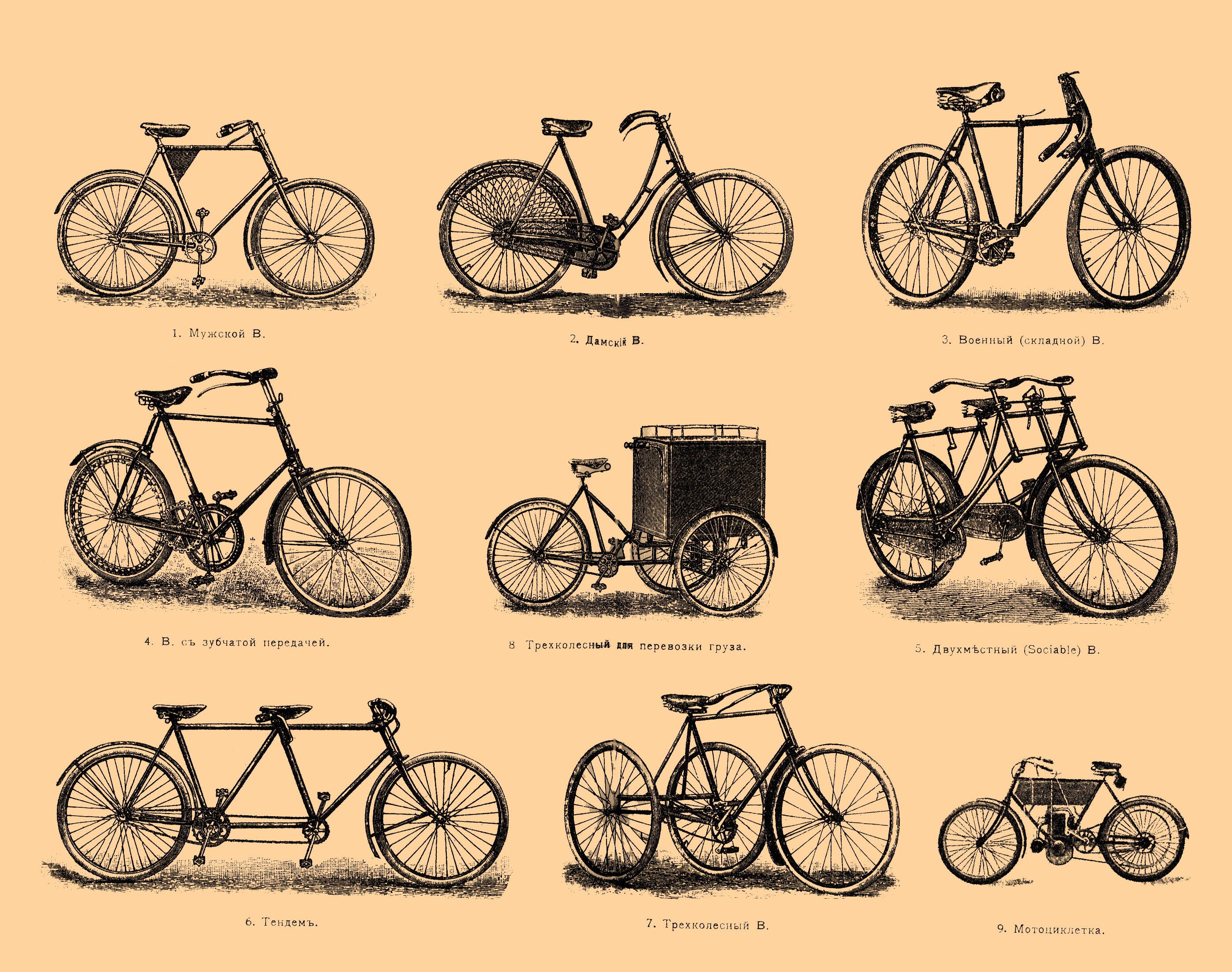 Brockhaus and Efron Encyclopedic Dictionary b83 391-0