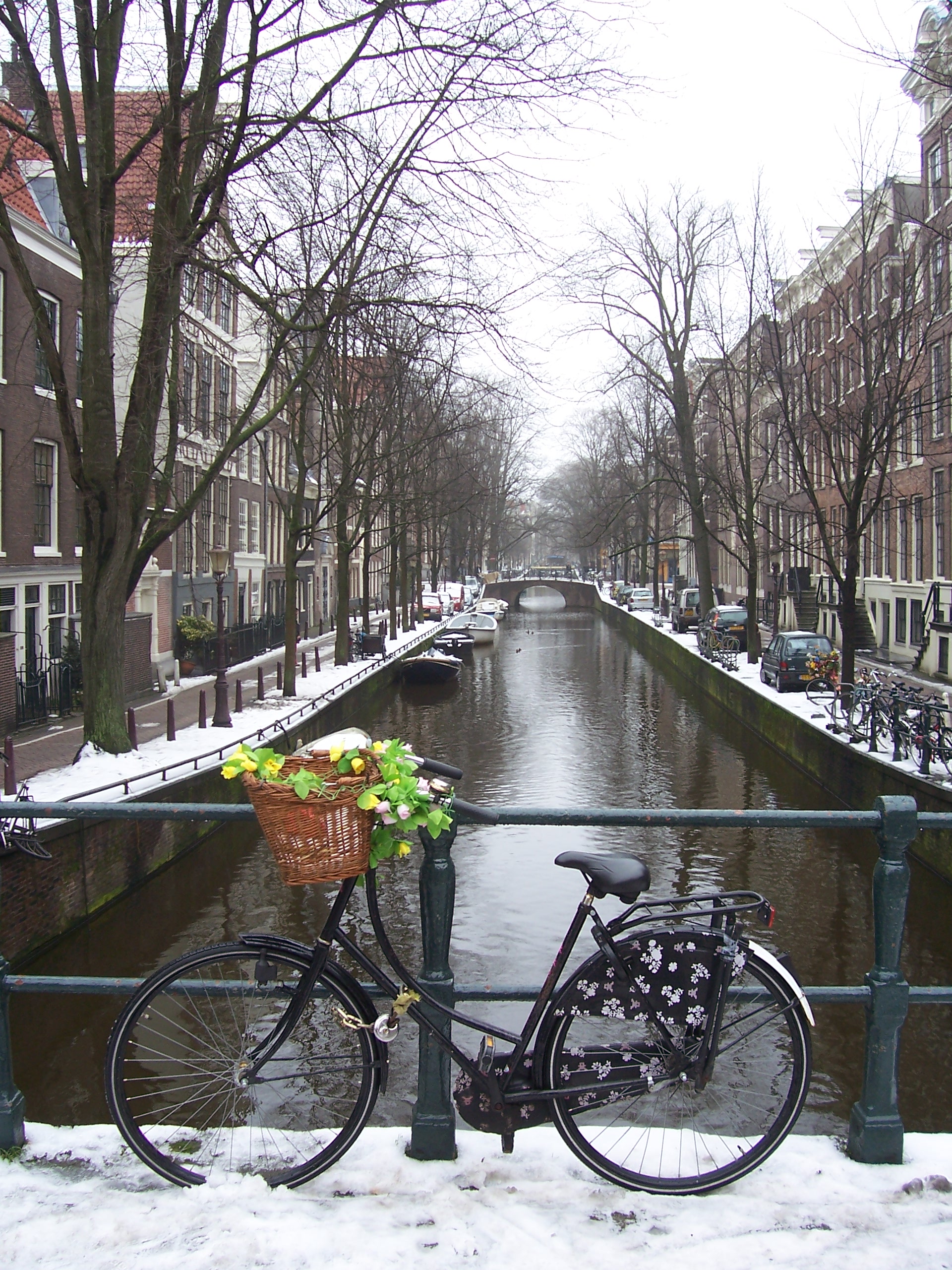 Canaux d'Amsterdam