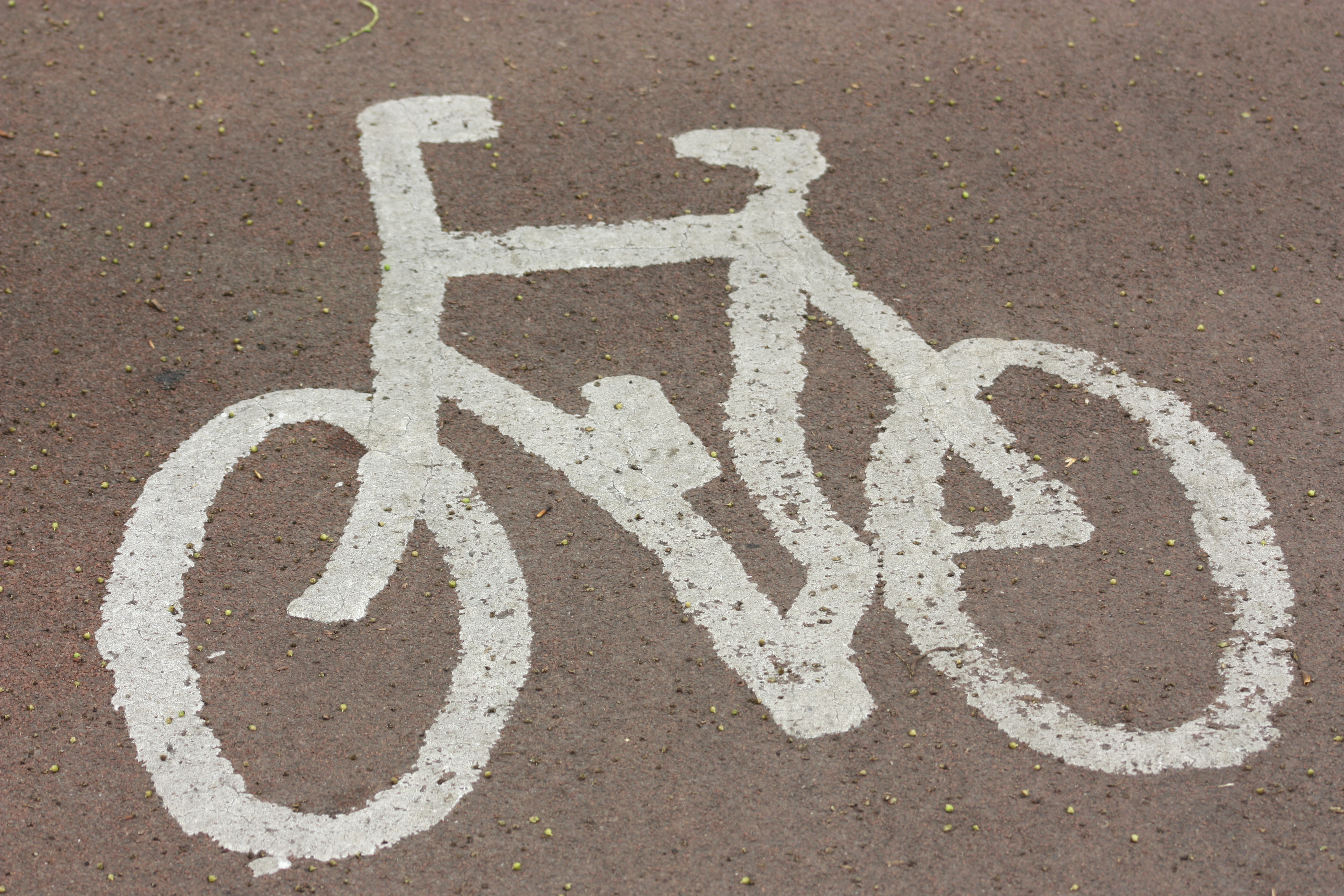 Cycle lane, Belfast, May 2010 (01)