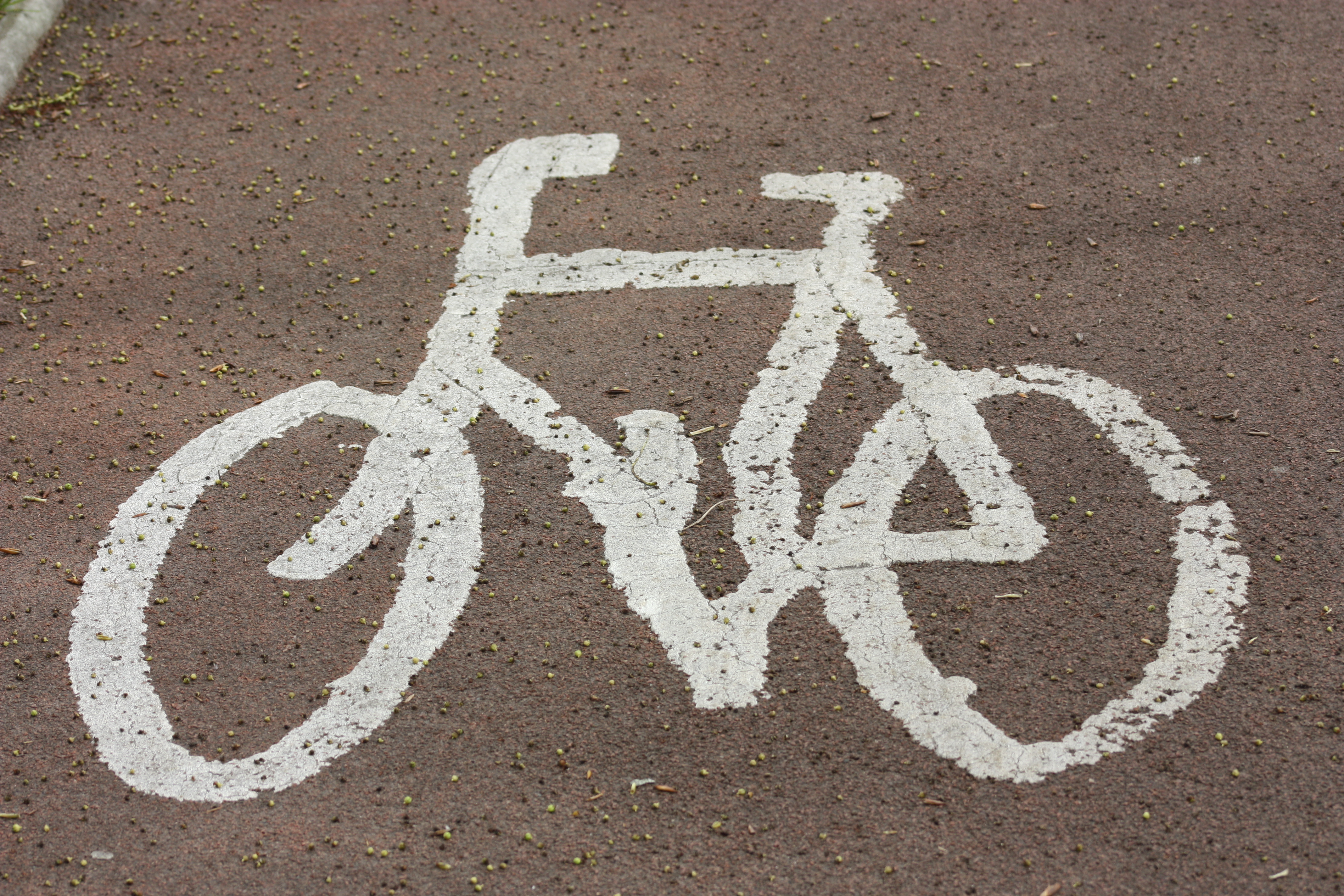 Cycle lane, Belfast, May 2010 (02)