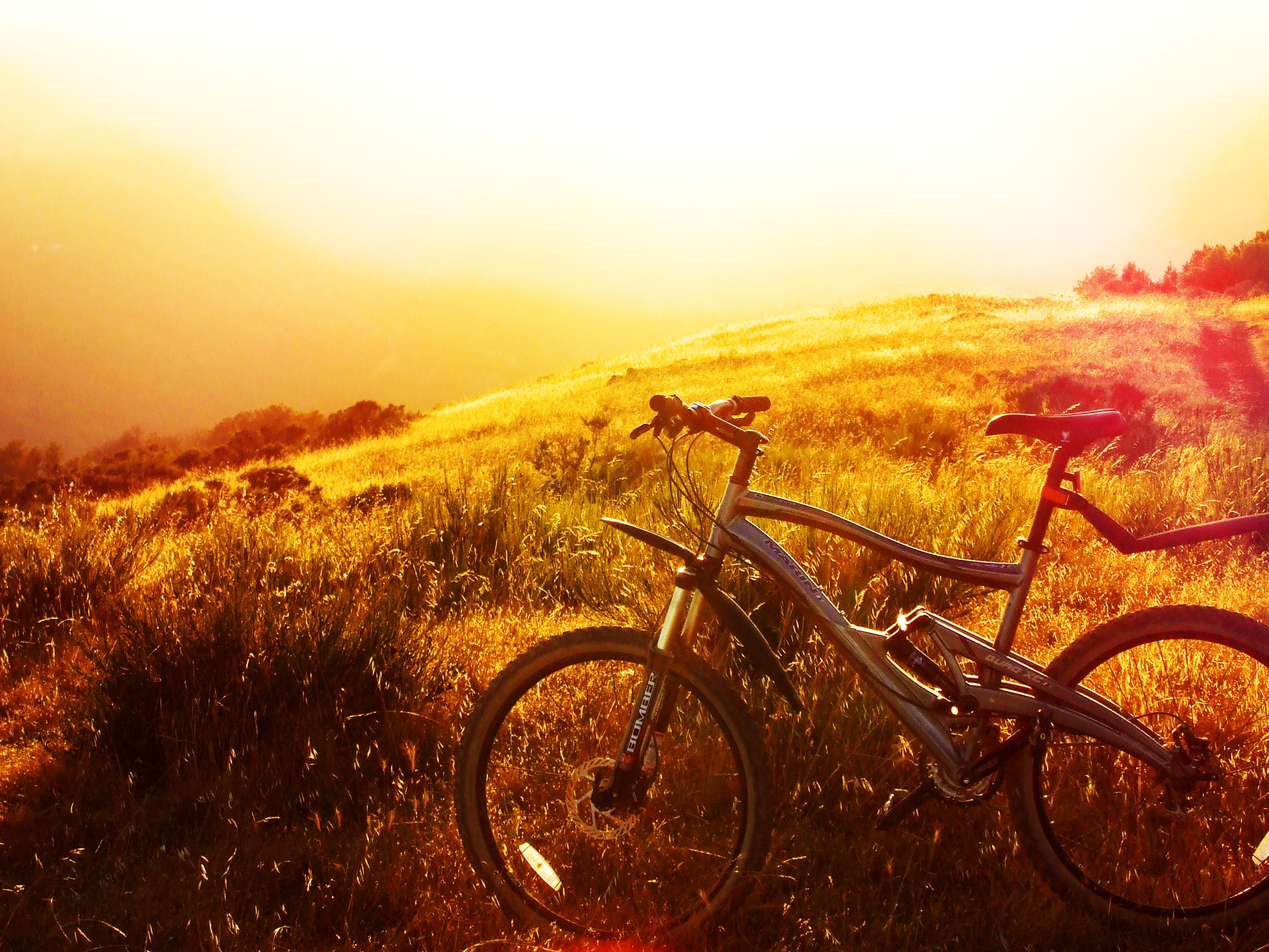 Derangedtaco Marin Bike