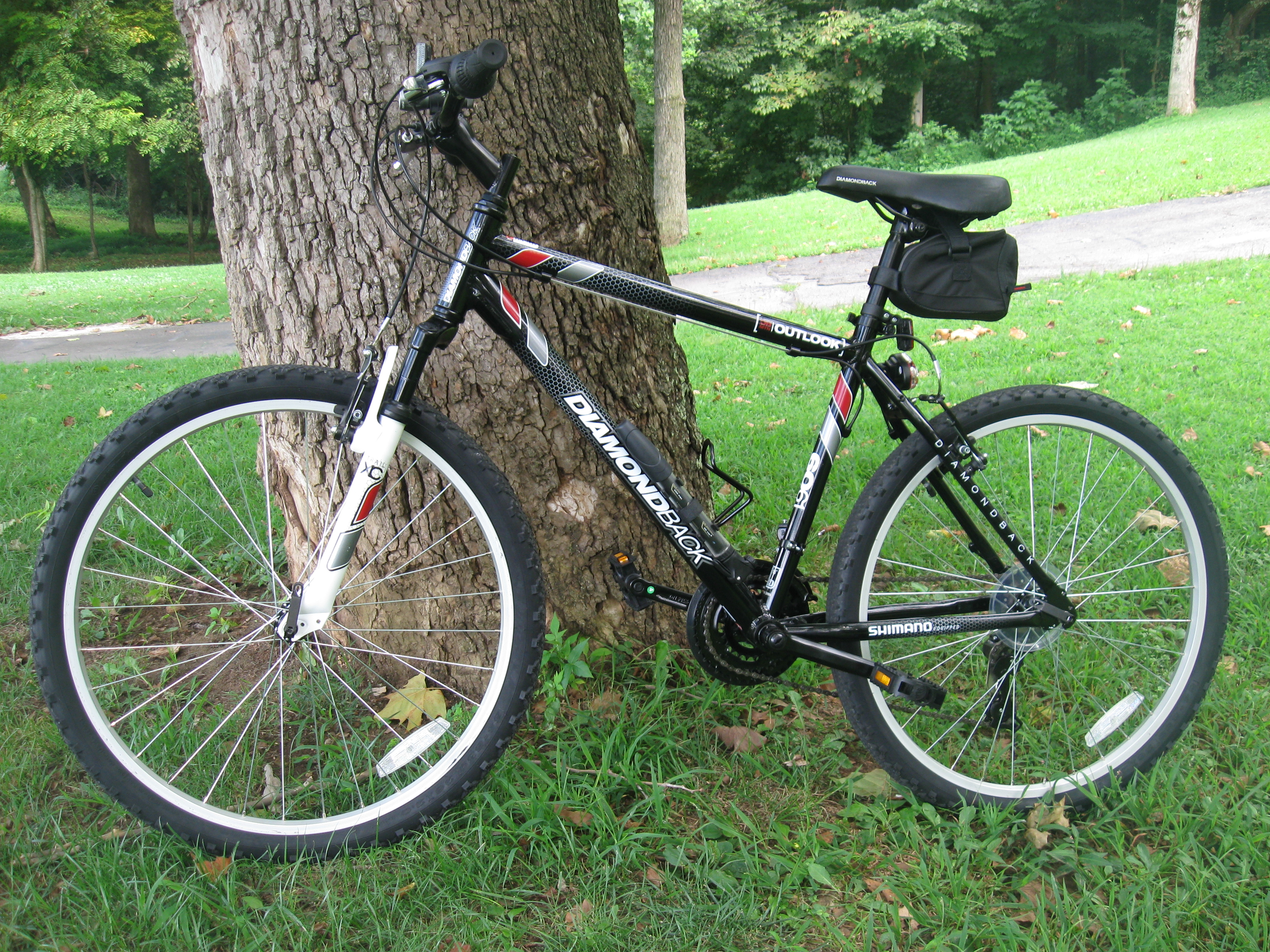 Diamondback Outlook 2011
