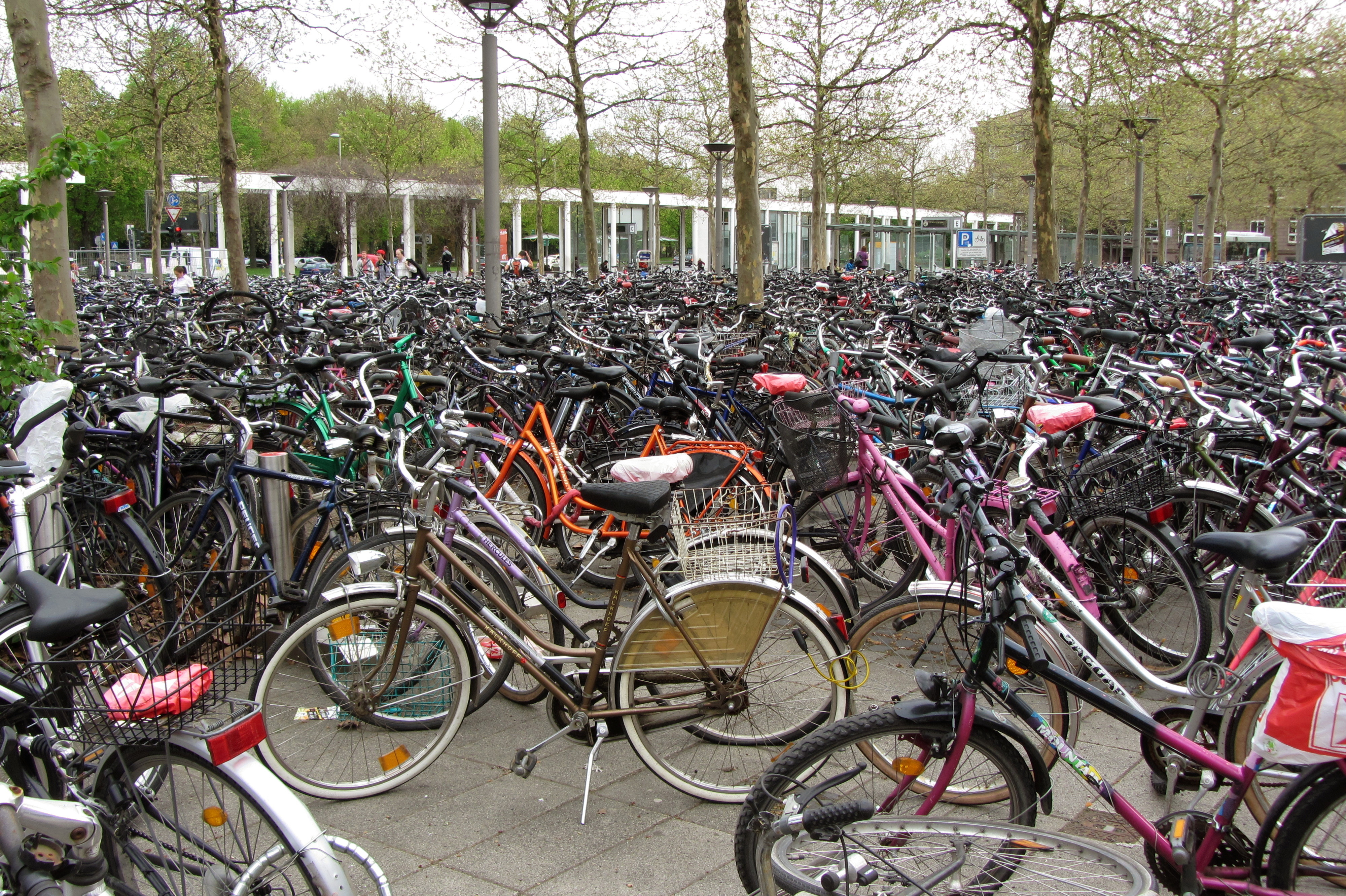 Fahrräder Göttingen 2012