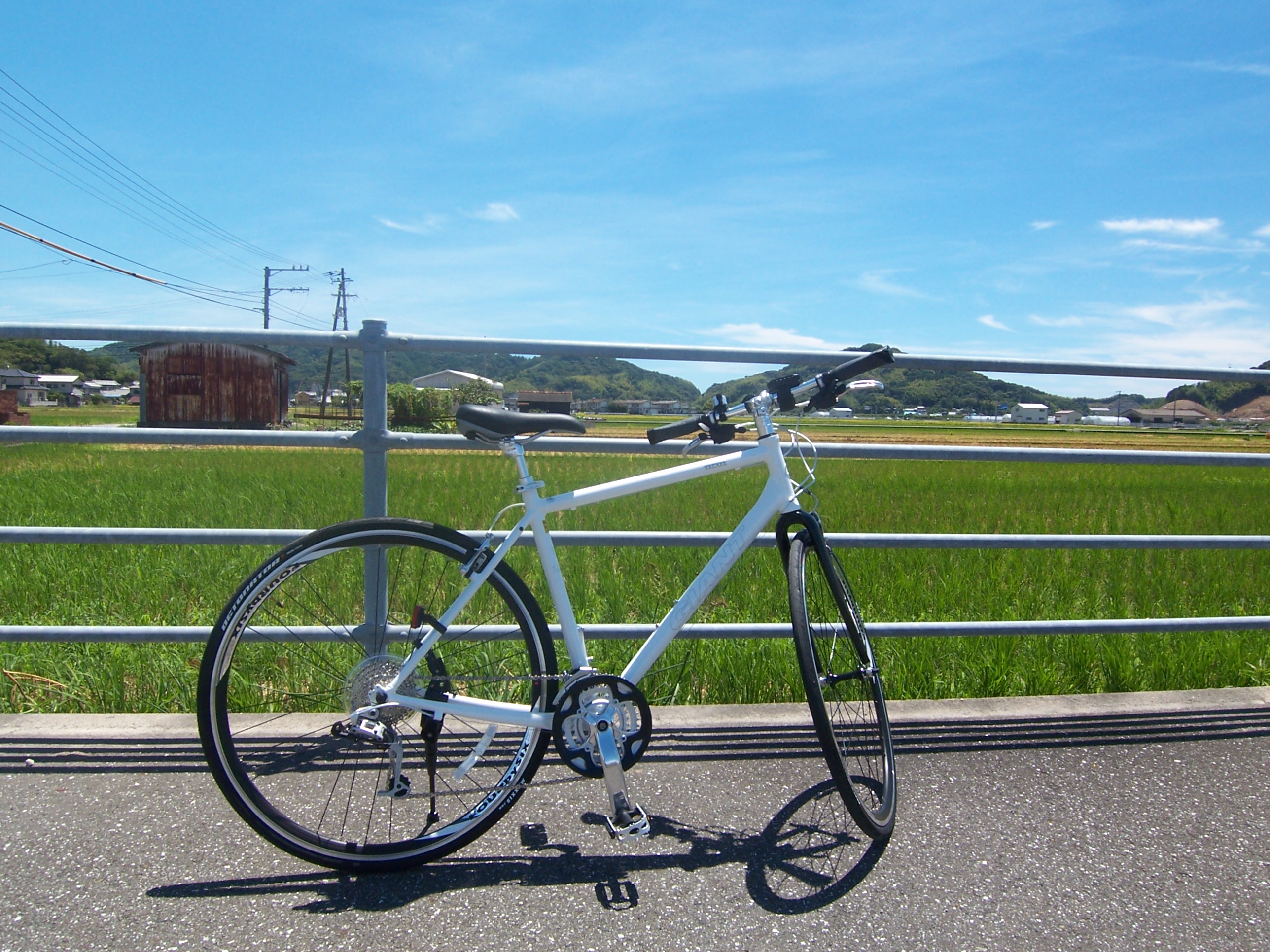 Giant Escape R2 2008
