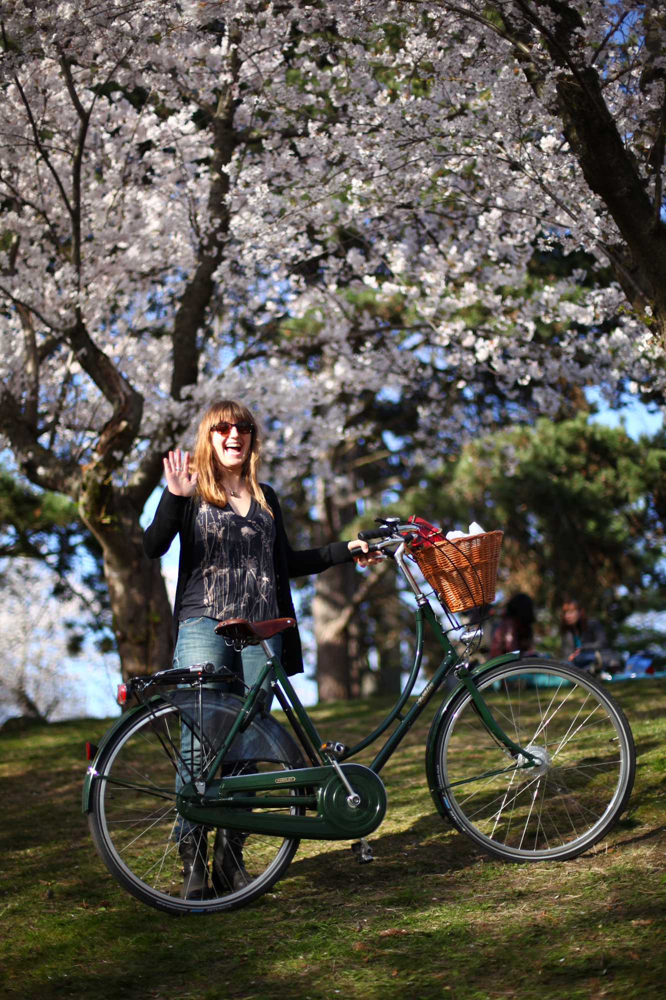 Pashley blossom