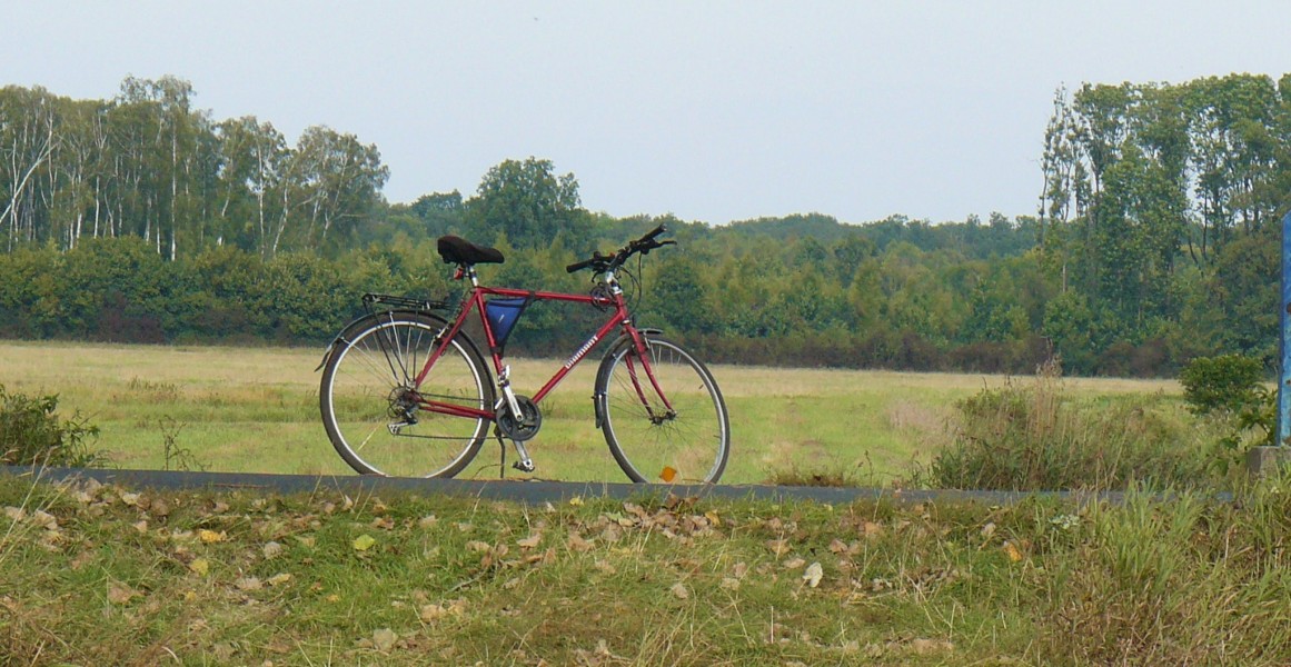 Bike (Pecna)