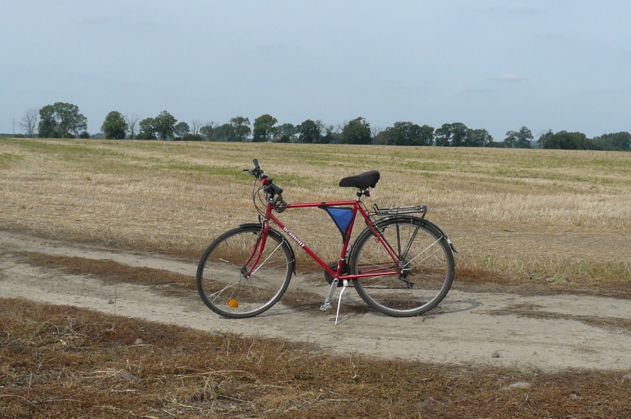 Bike (Stare Tarnowo)