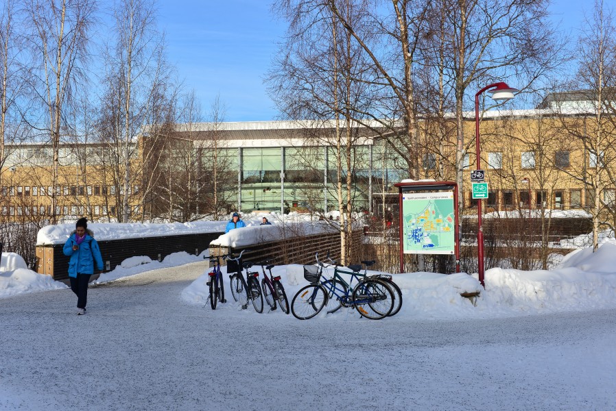 Umeå Universitet February 2013 02