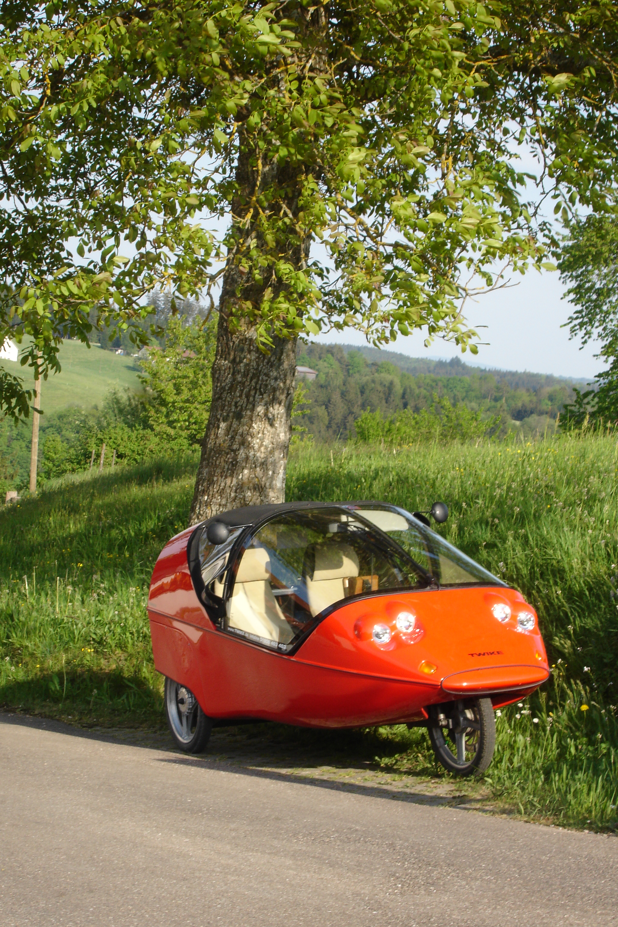Red twike active in front of tree
