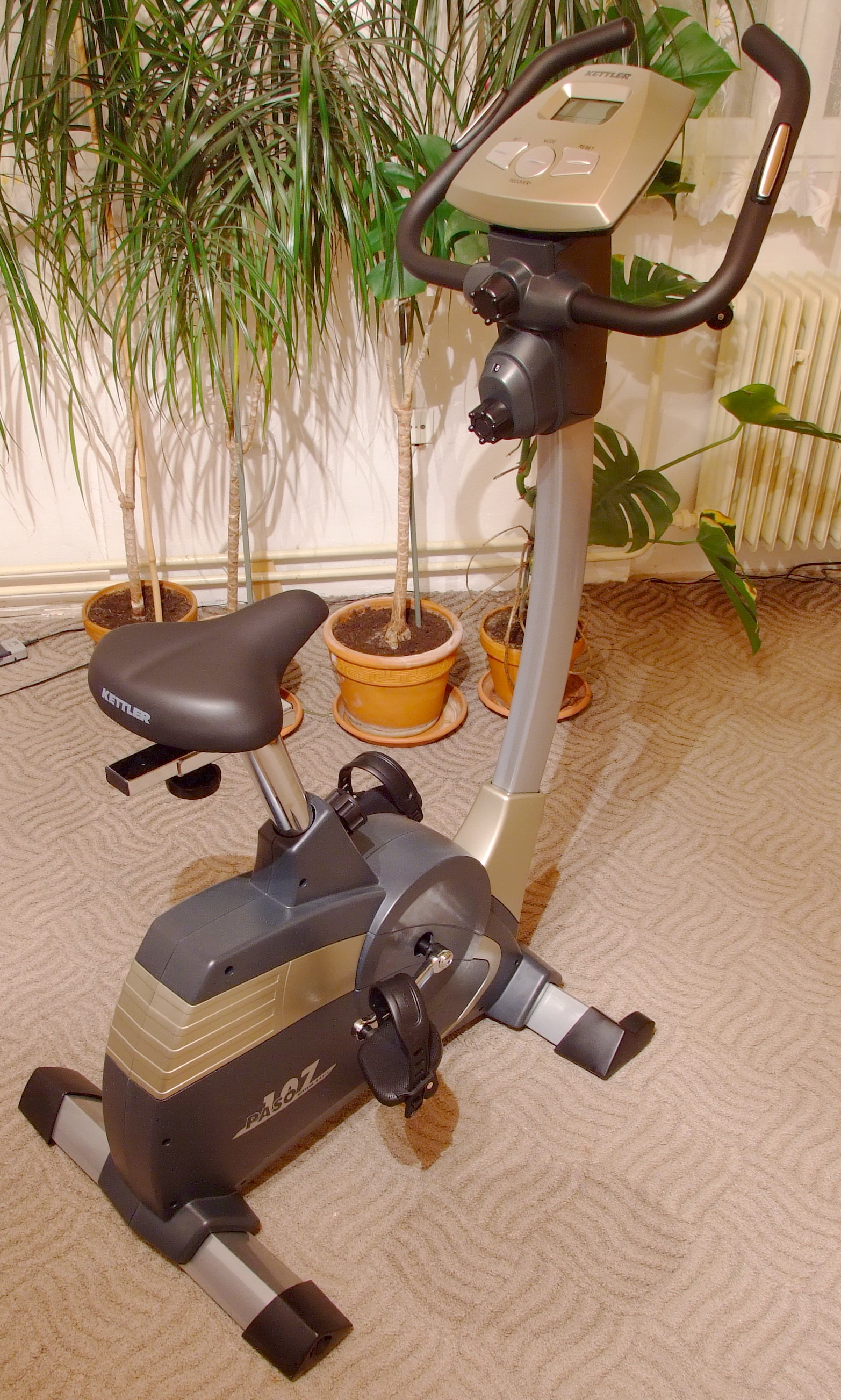 Stationary bicycle