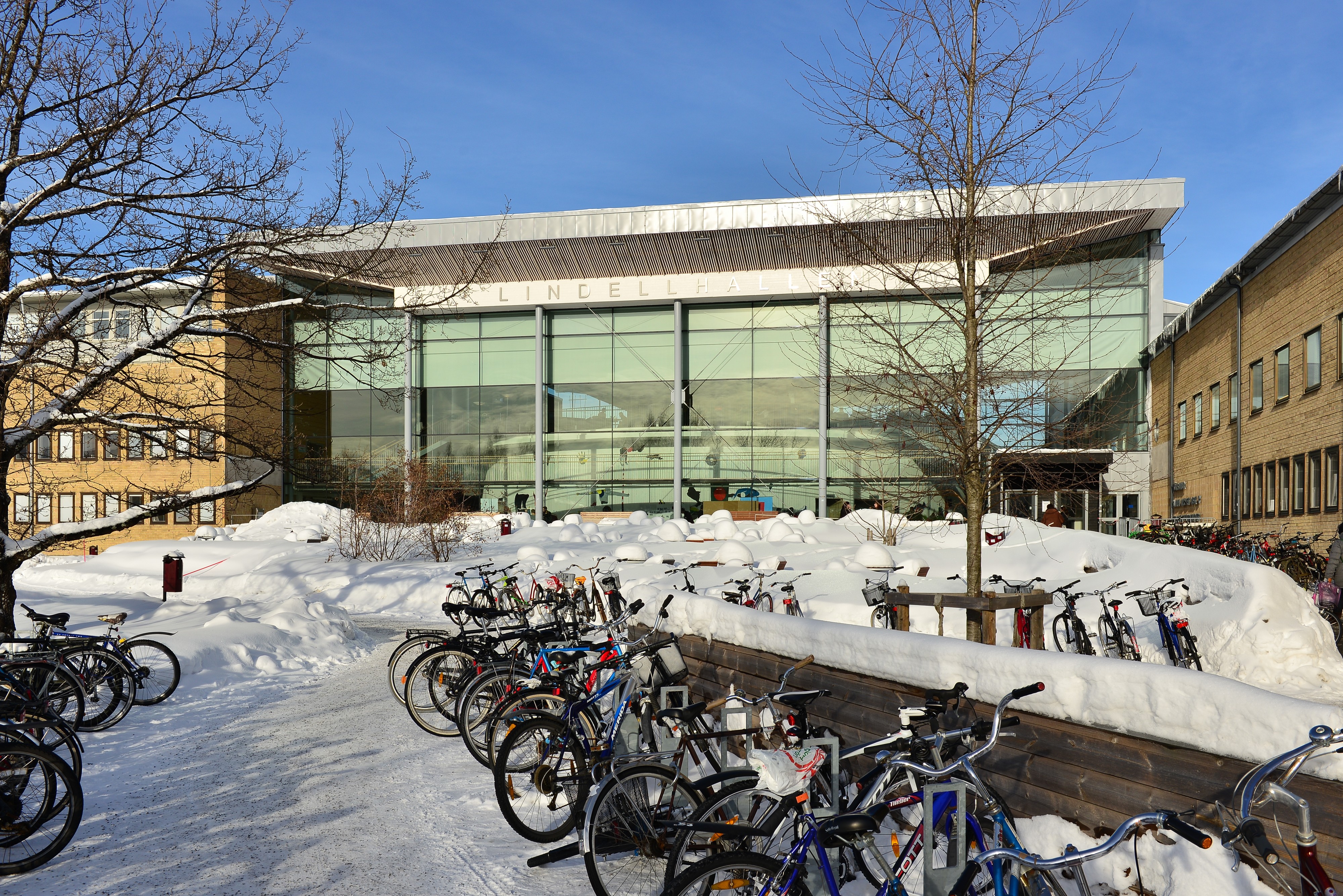 Umeå Universitet February 2013 03