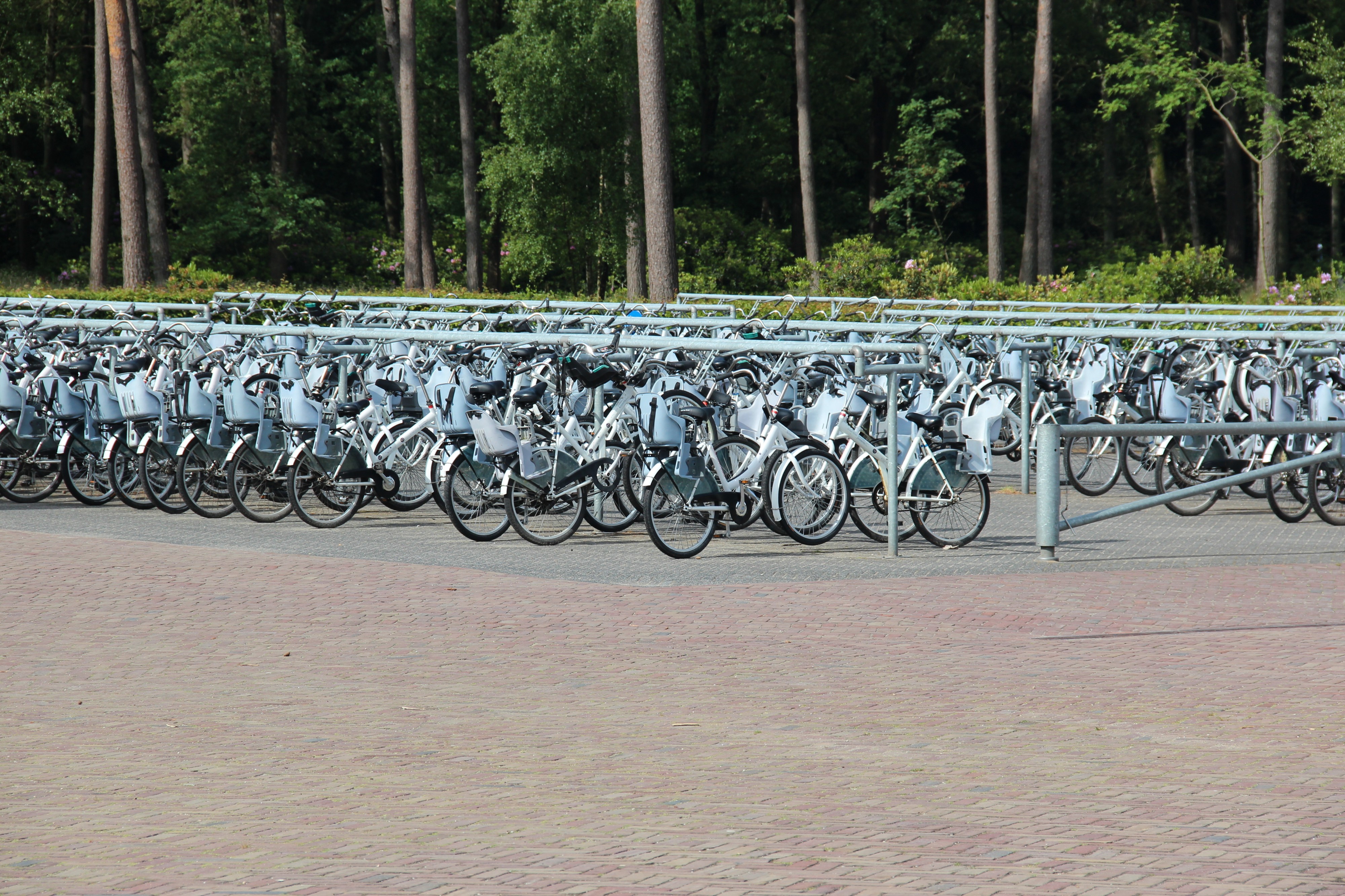 Witte Fietsen Veluwe