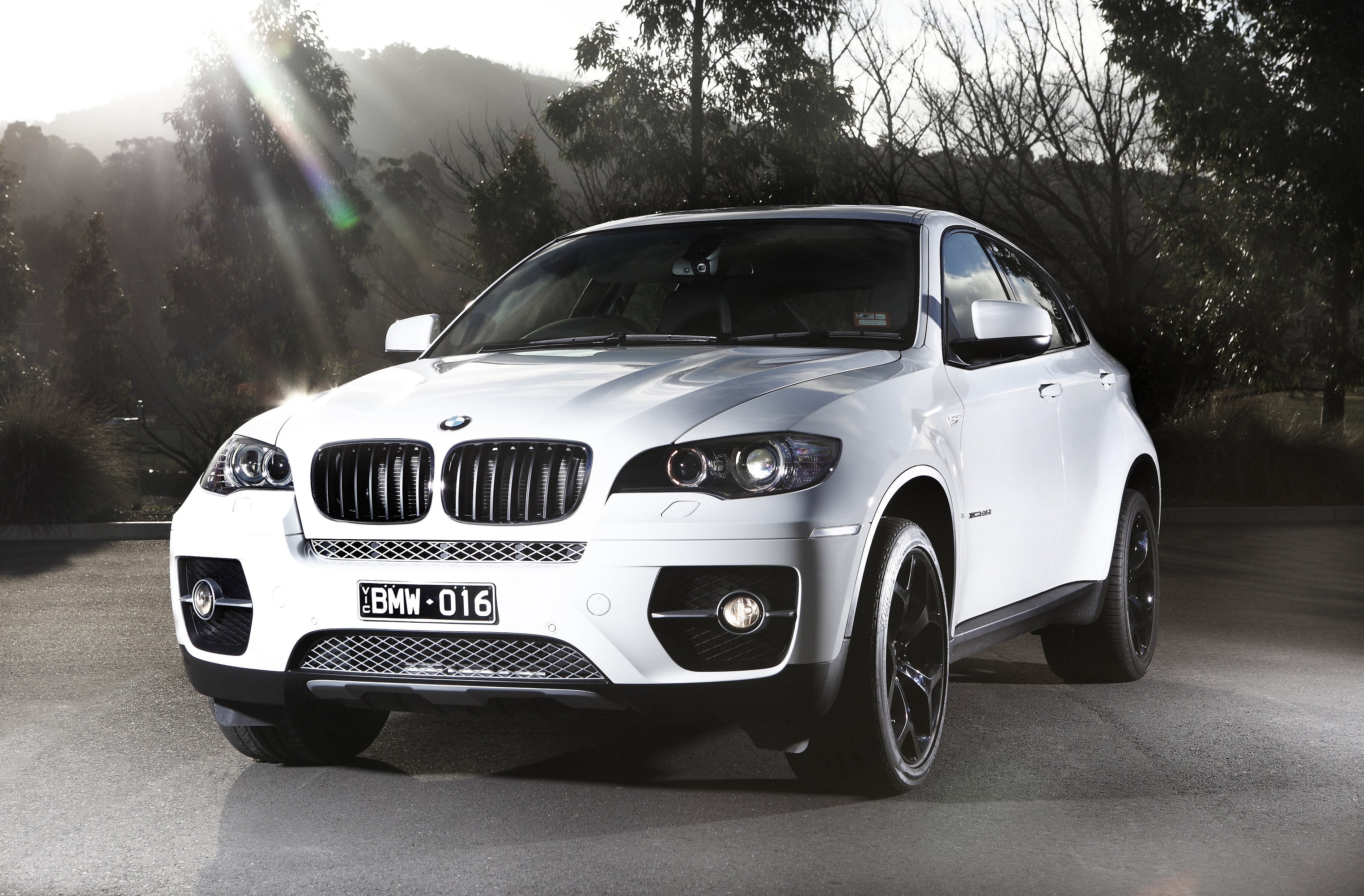 2011 BMW X6 (E71) xDrive30d wagon (2011-12-08) 01