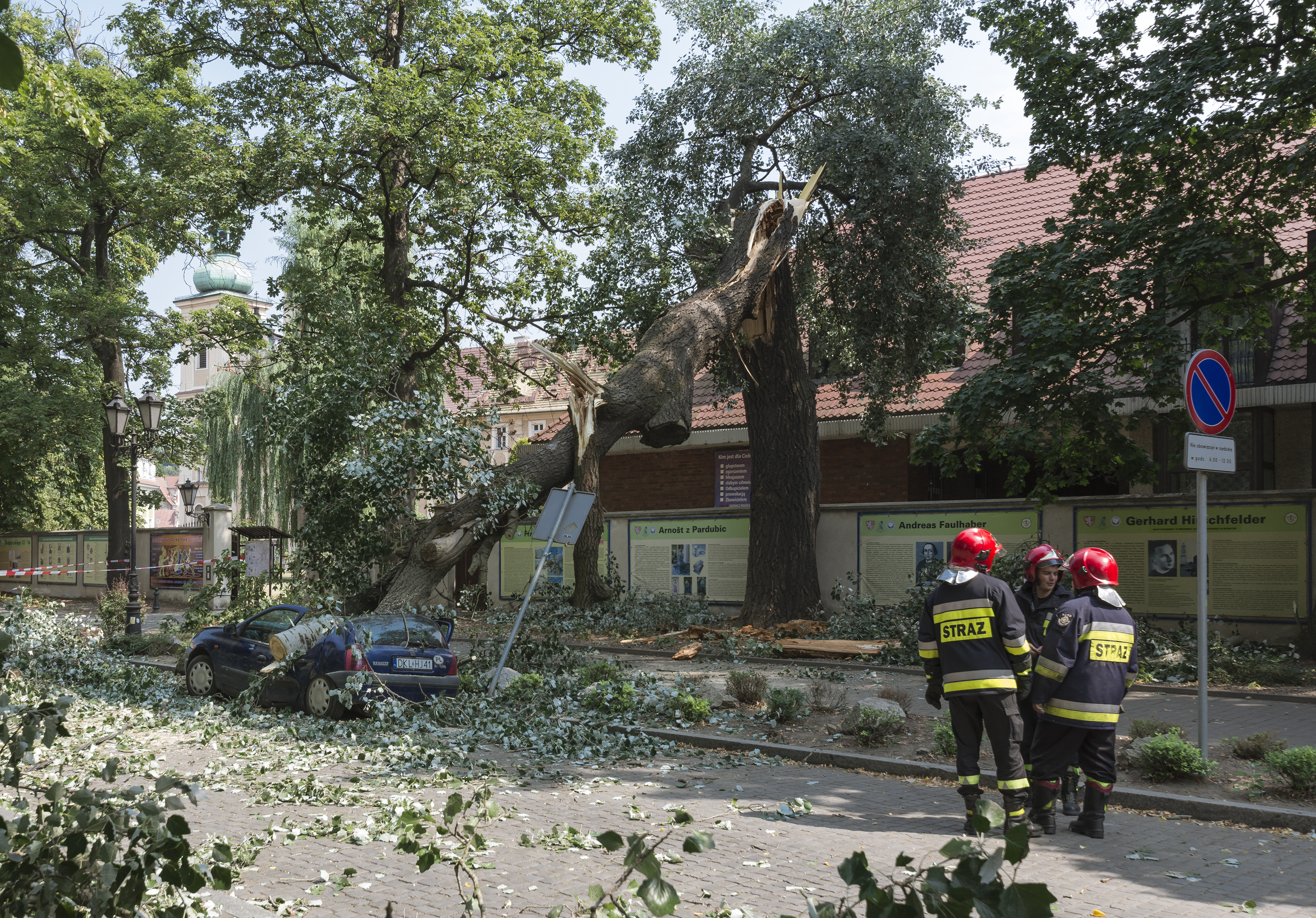 2015 Samochód przygnieciony drzewem