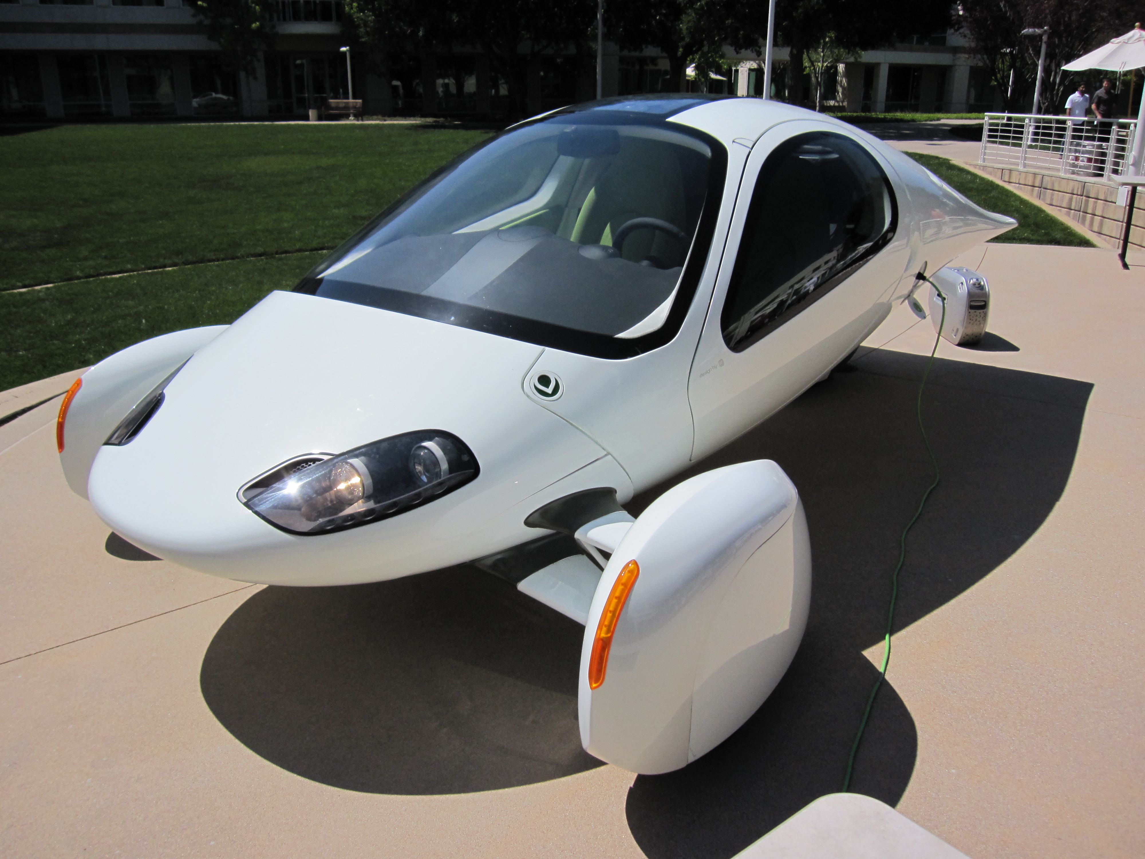 Apteracar1