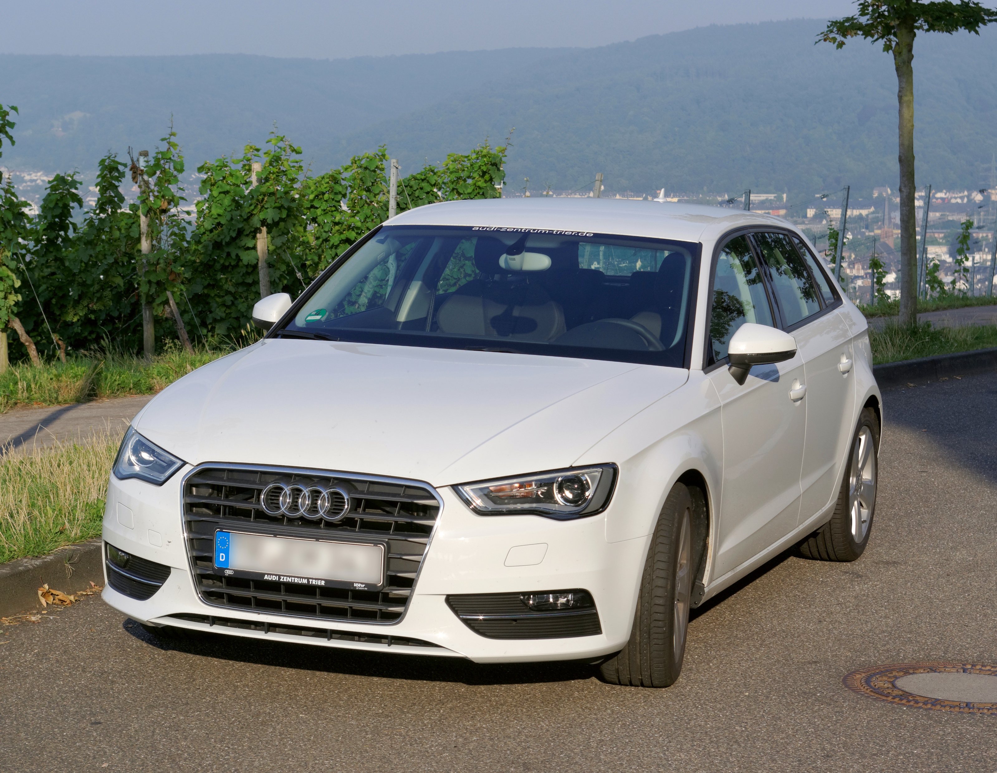 Audi A3 8V 2014-07-28 08-09-51