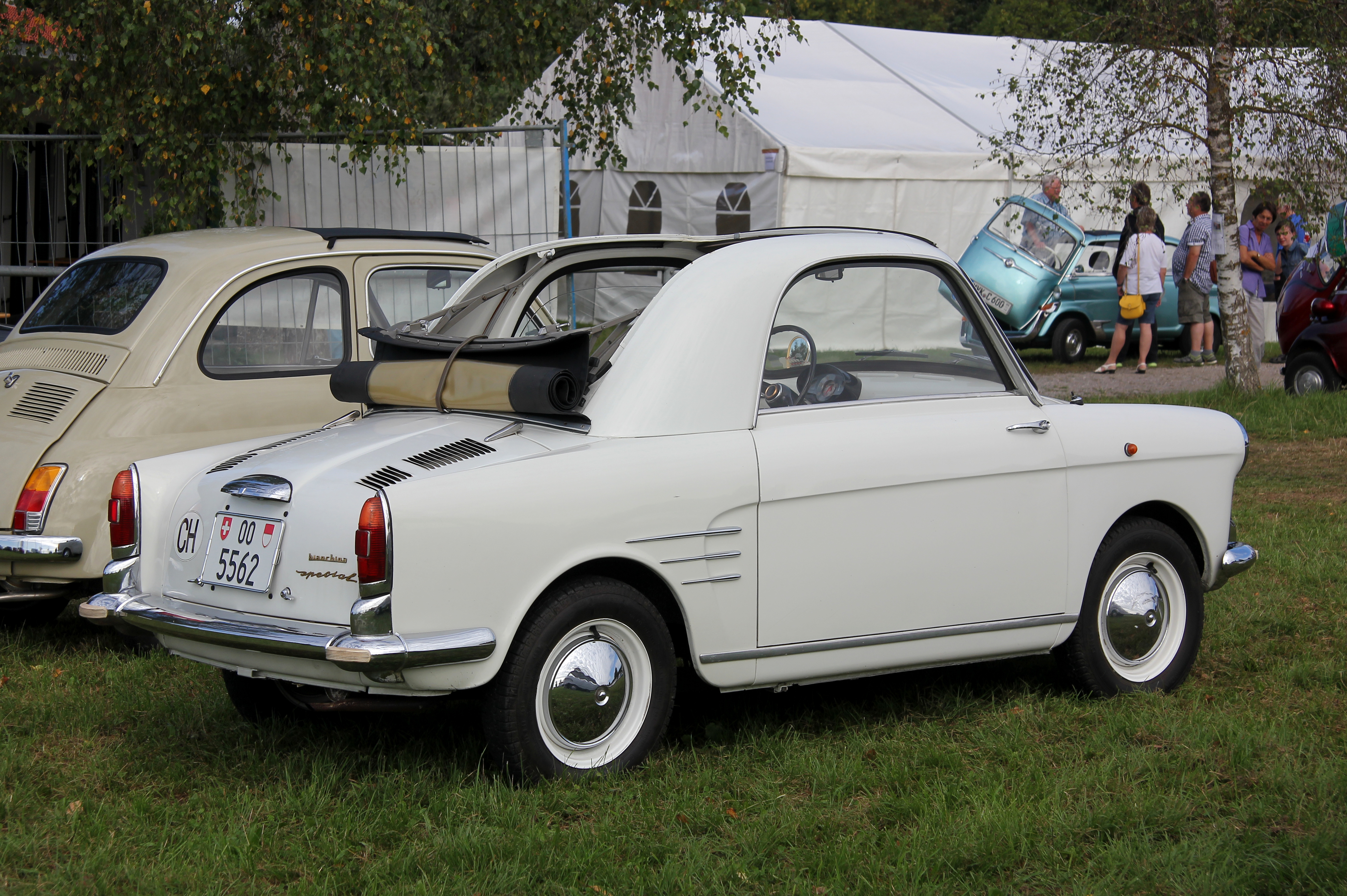 Autobianchi Bianchina special (2015-08-28 rear b)