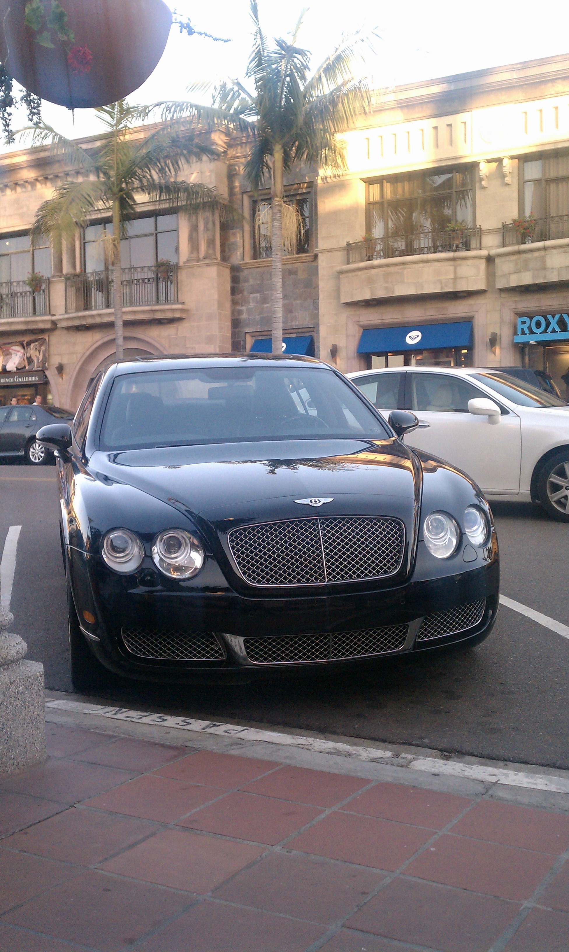 Bentley3200ppx
