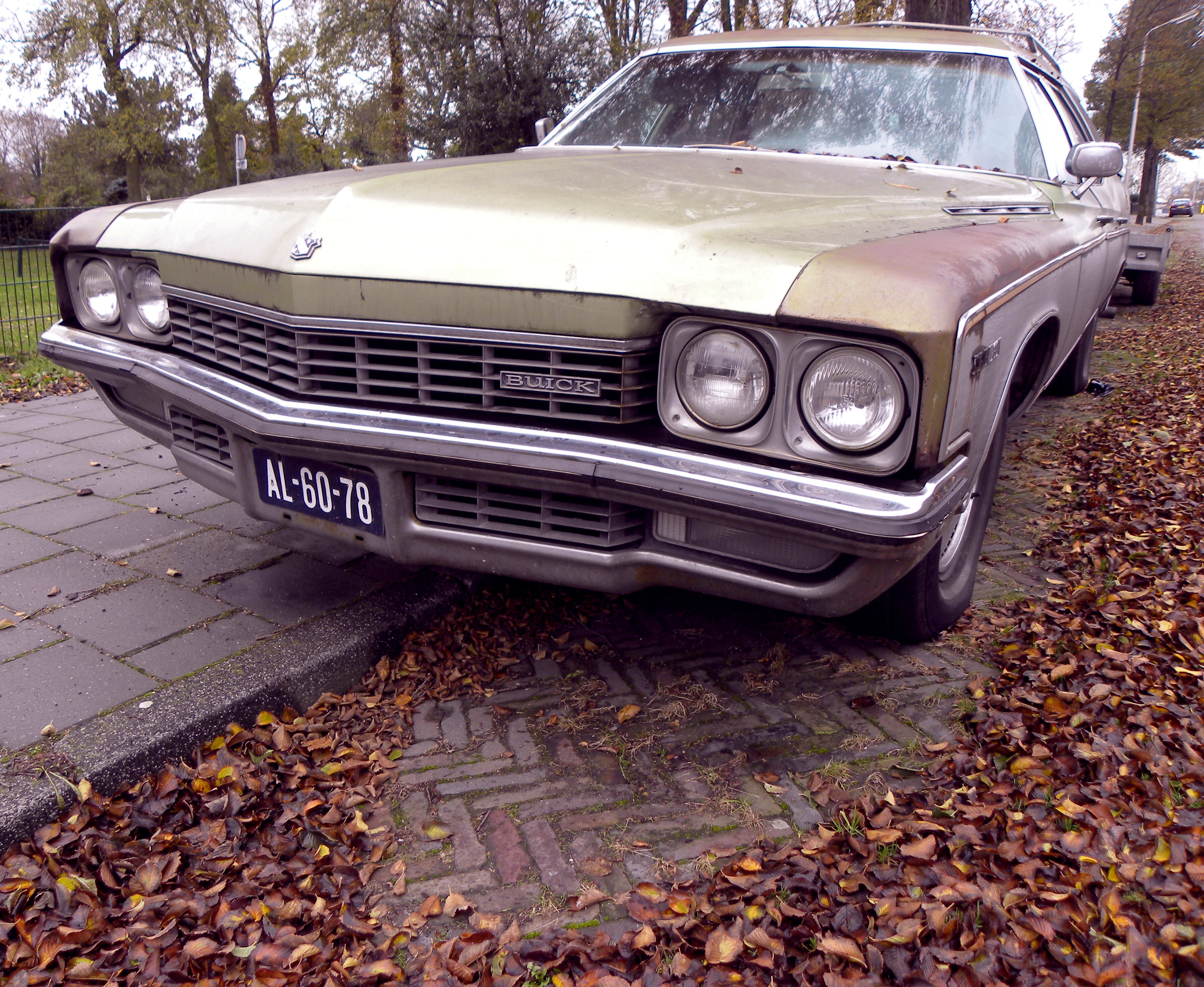 Buick Estate Wagon (3)