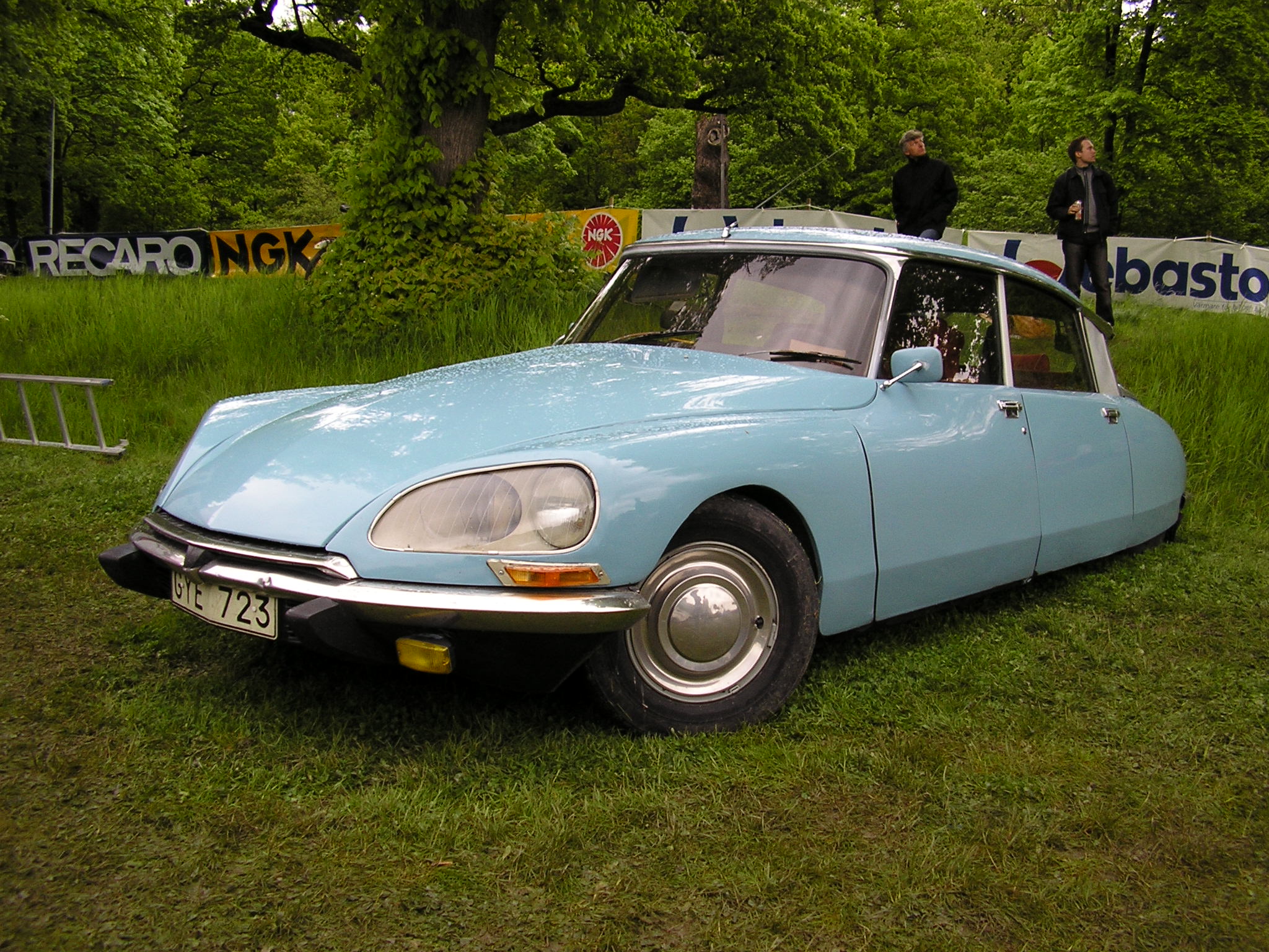 Citroenpadda