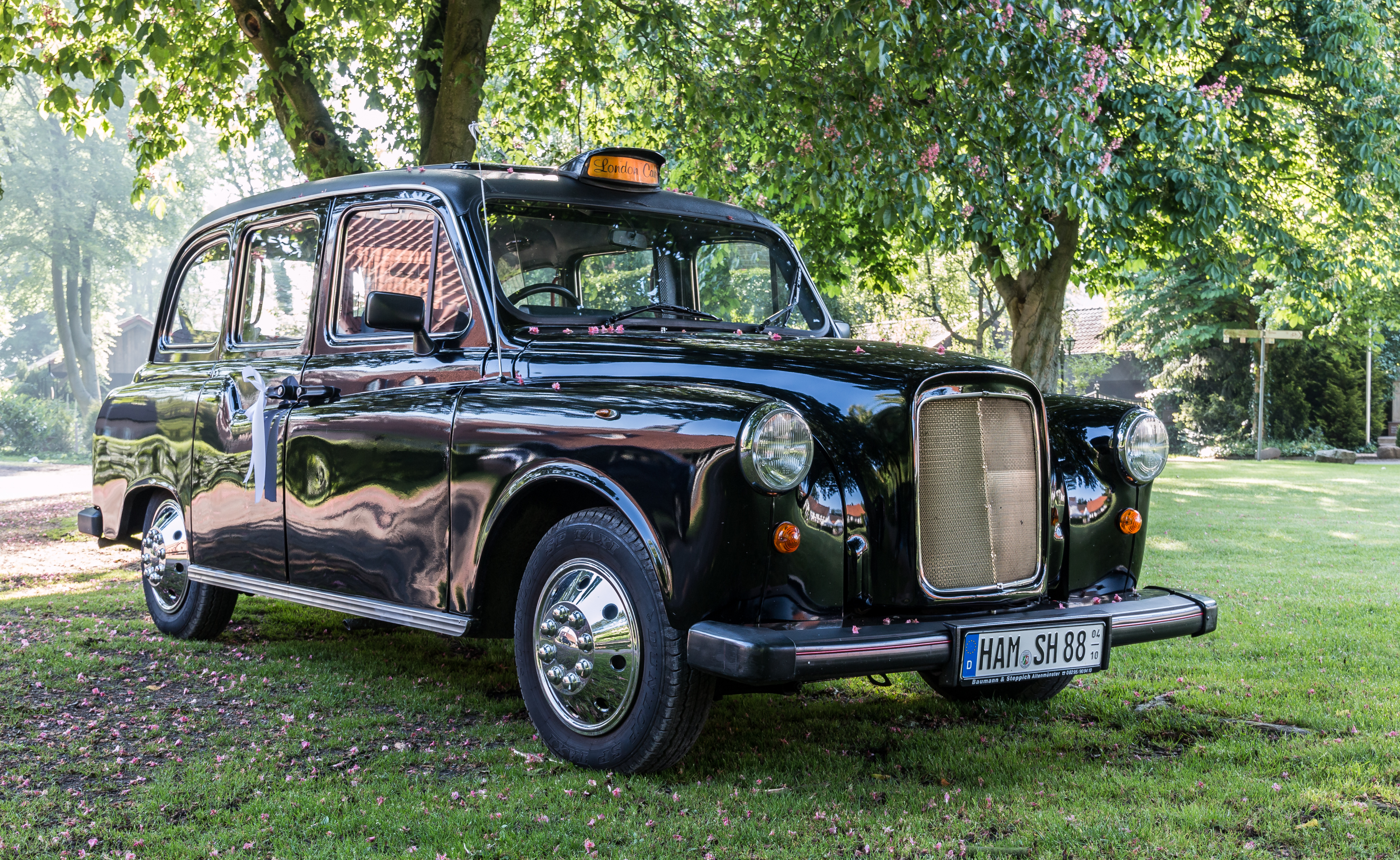 Dülmen, Karthaus, -London Taxi- -- 2014 -- 0224