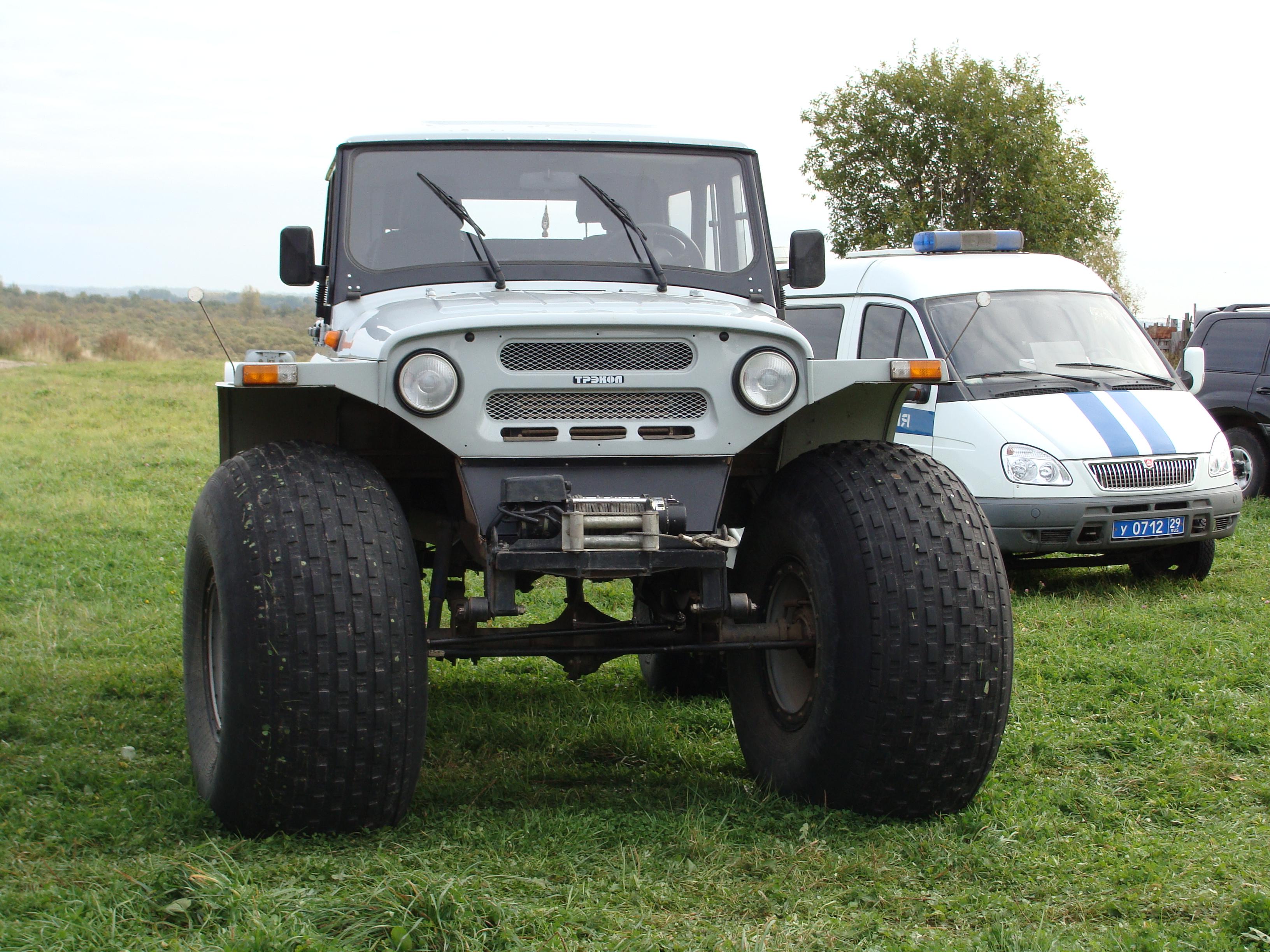 Den rabotnikov lesa, Koryazhma 2009 (003)