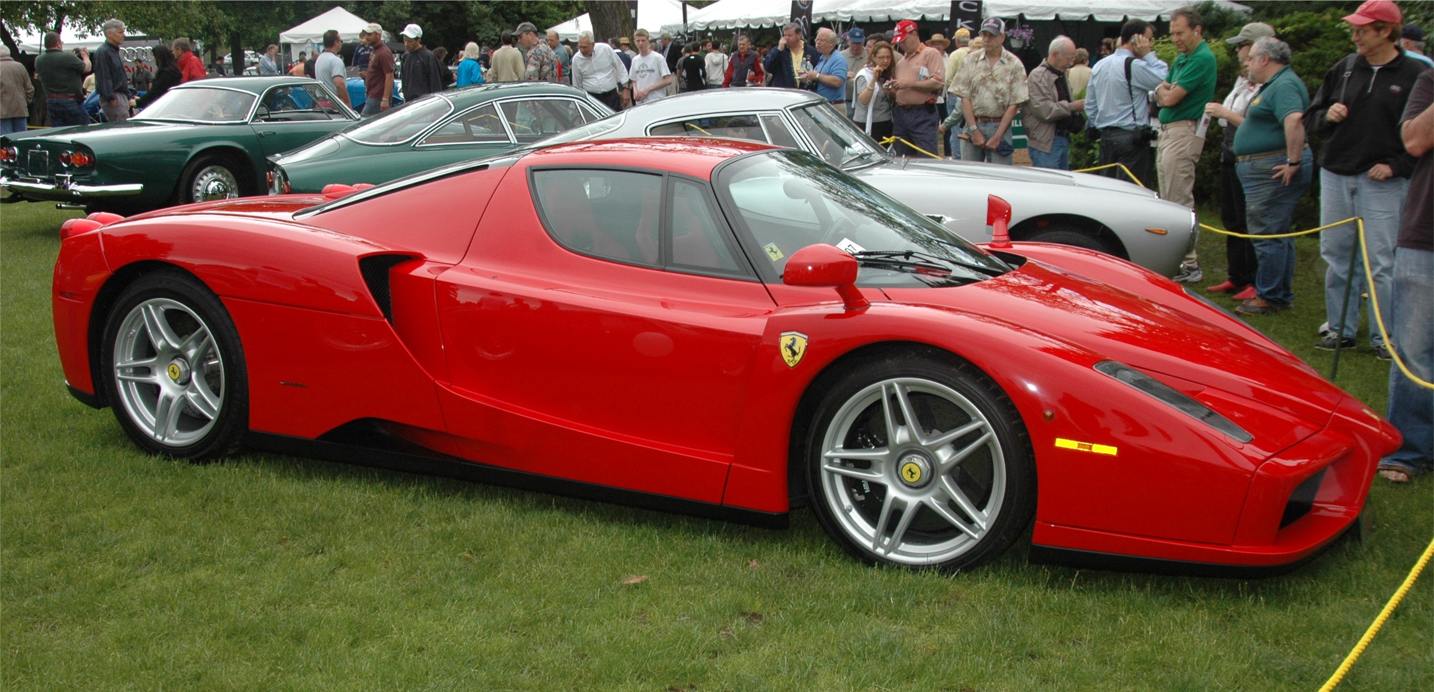 Enzo side