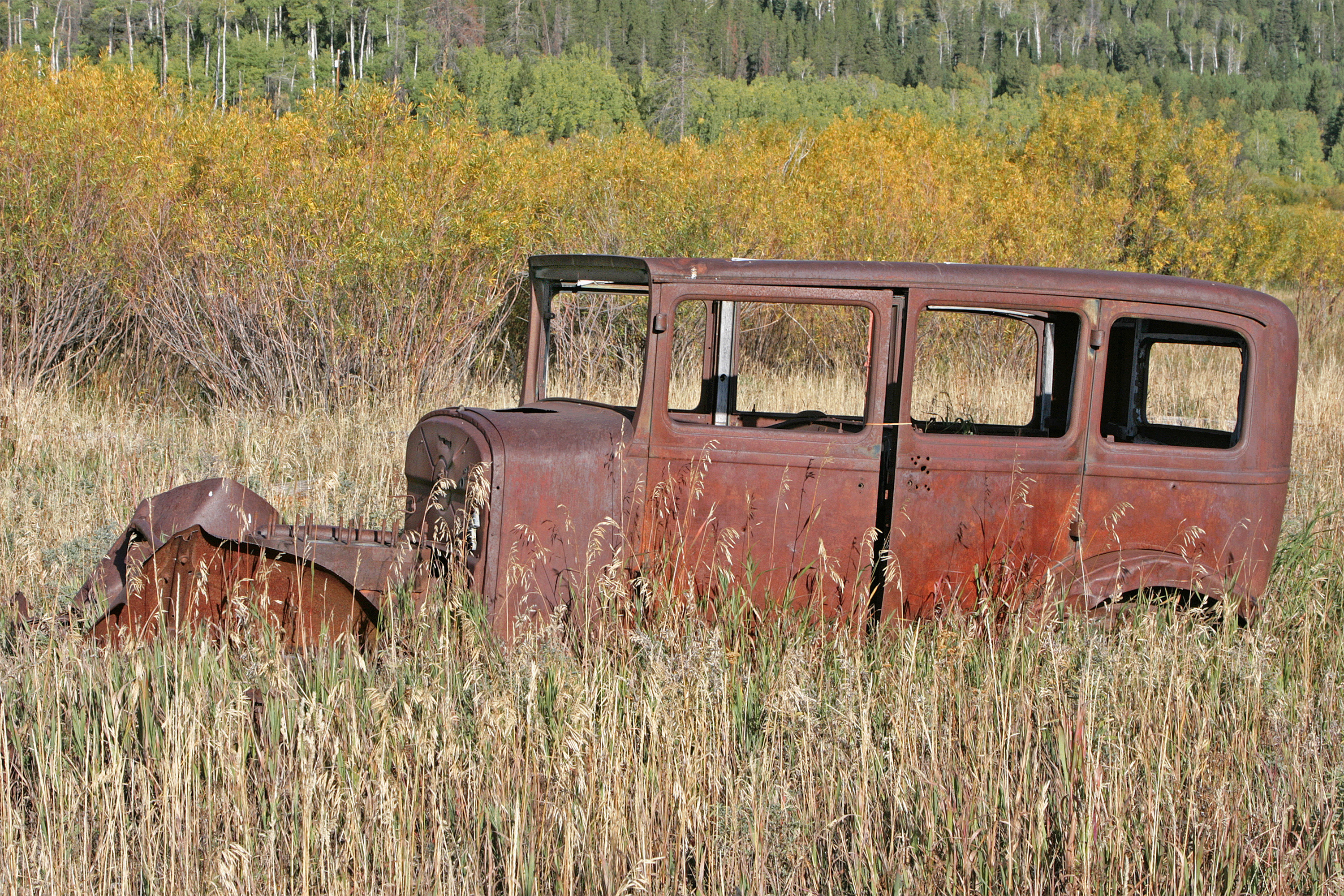 Fall in Wyoming