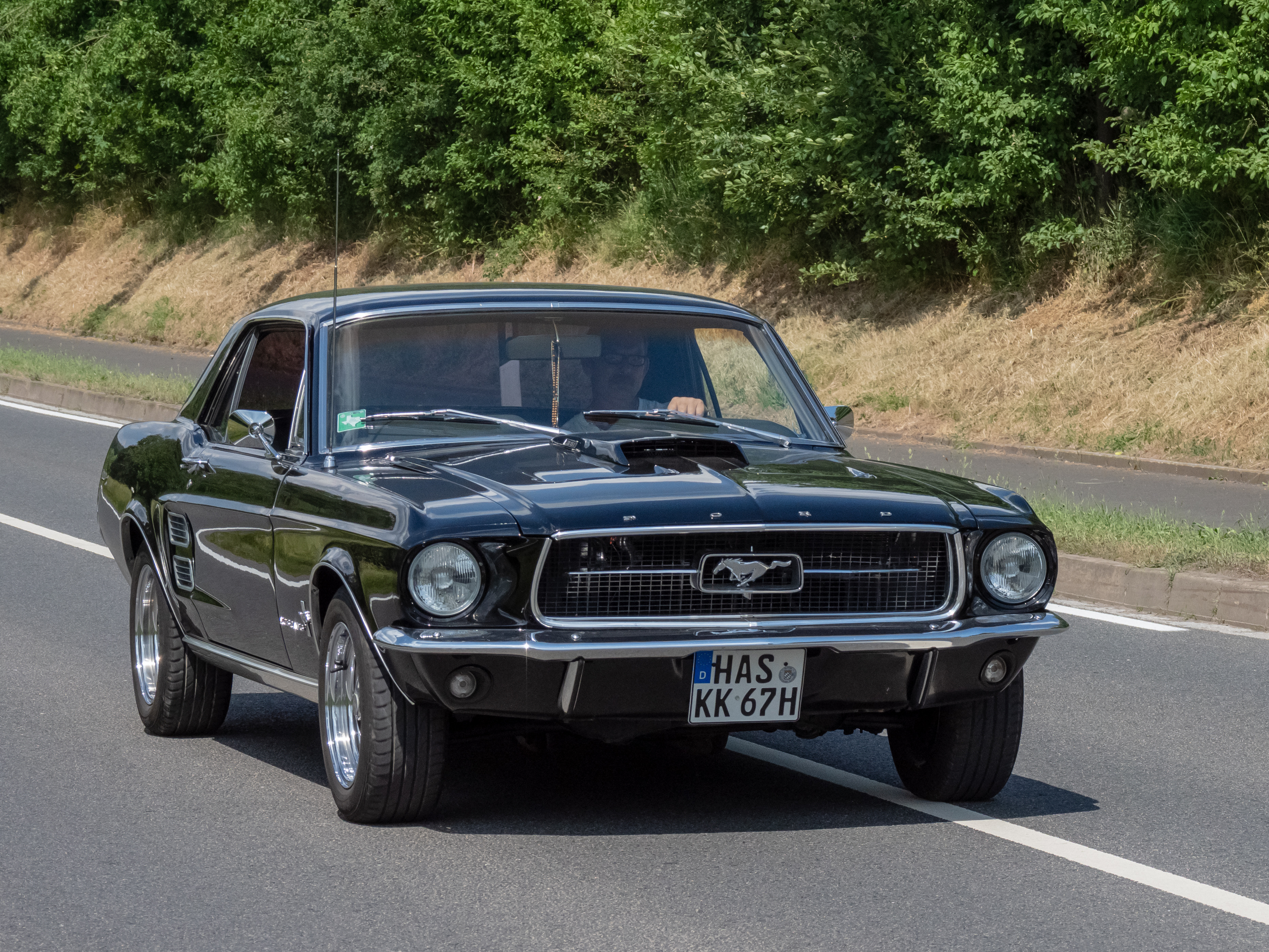 Ford Mustang 5312665