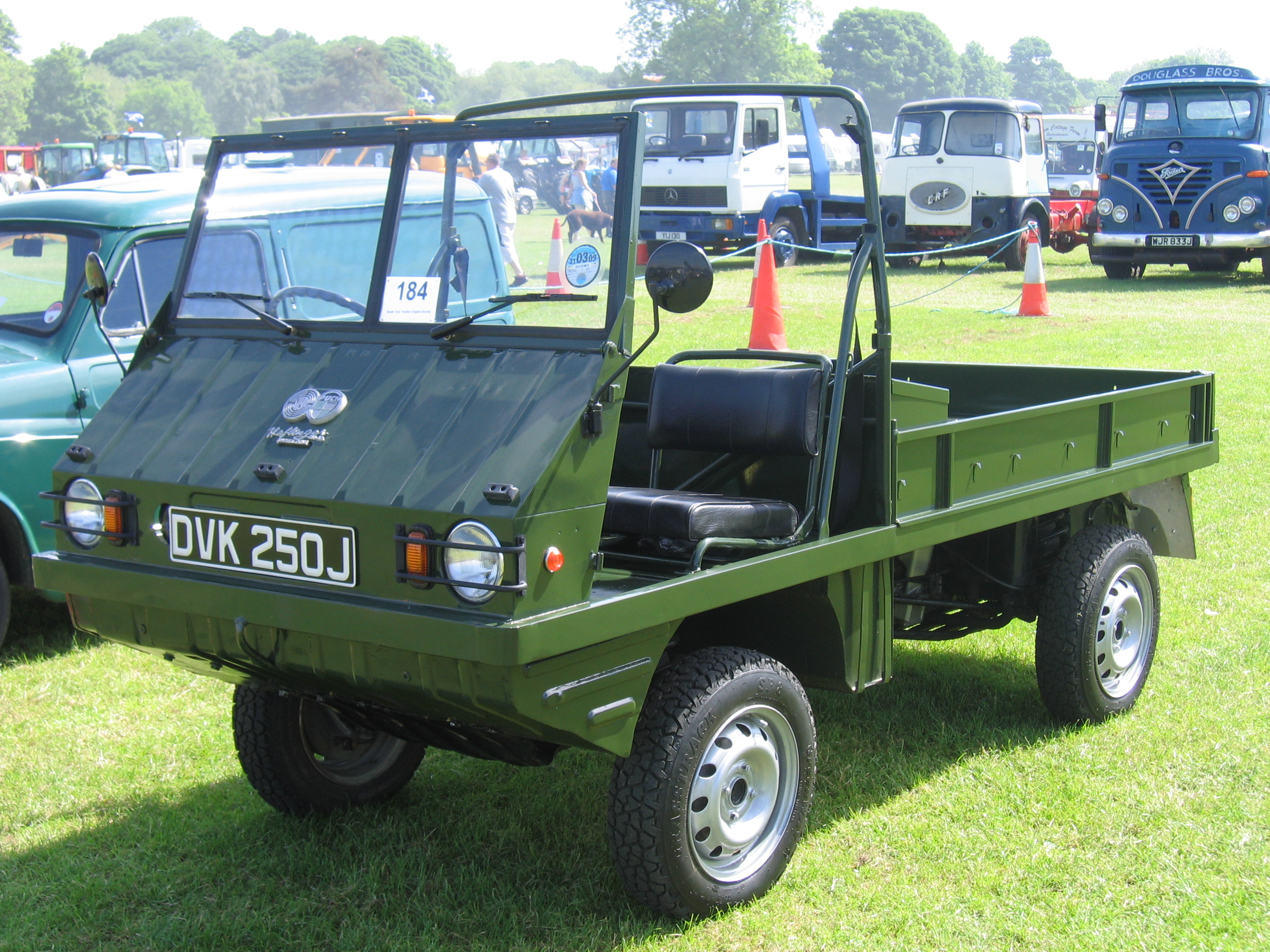 Haflinger green