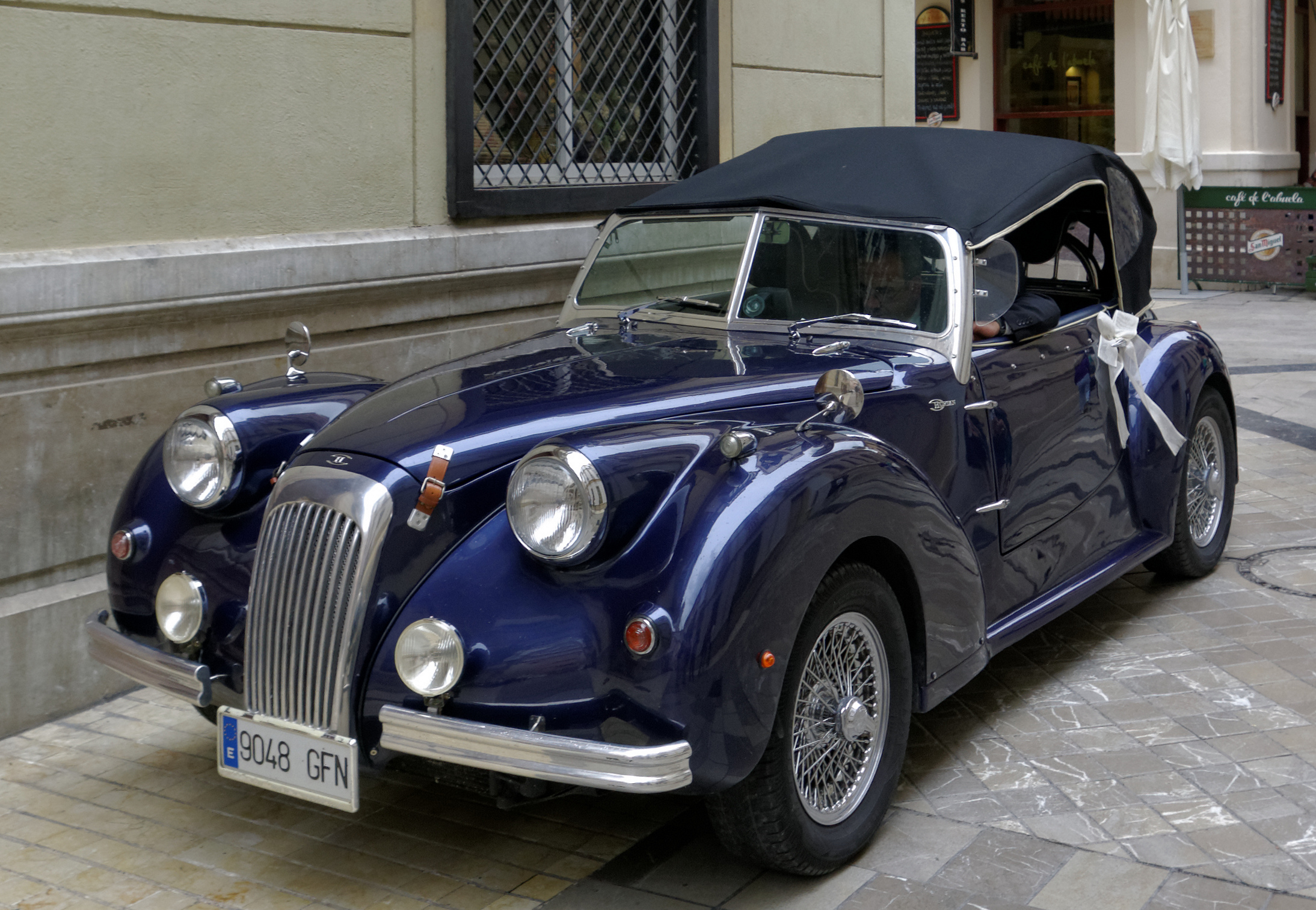 Hurtan Albacin T2 BW 2015-10-24 12-32-04