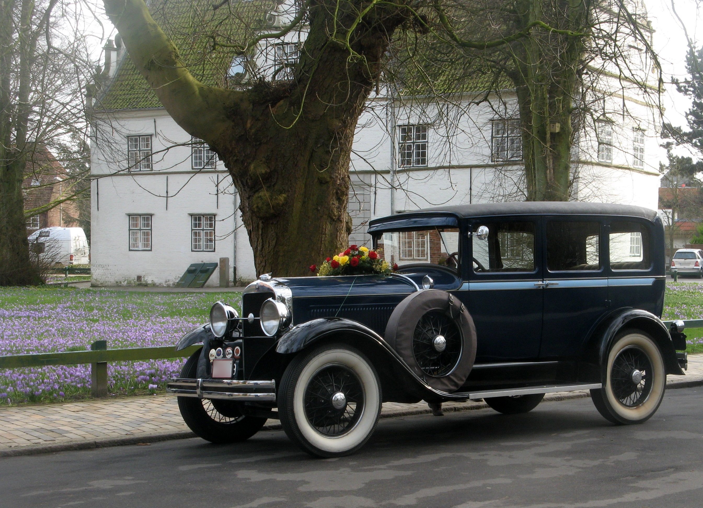 Husum krokoibluete hochzeisauto
