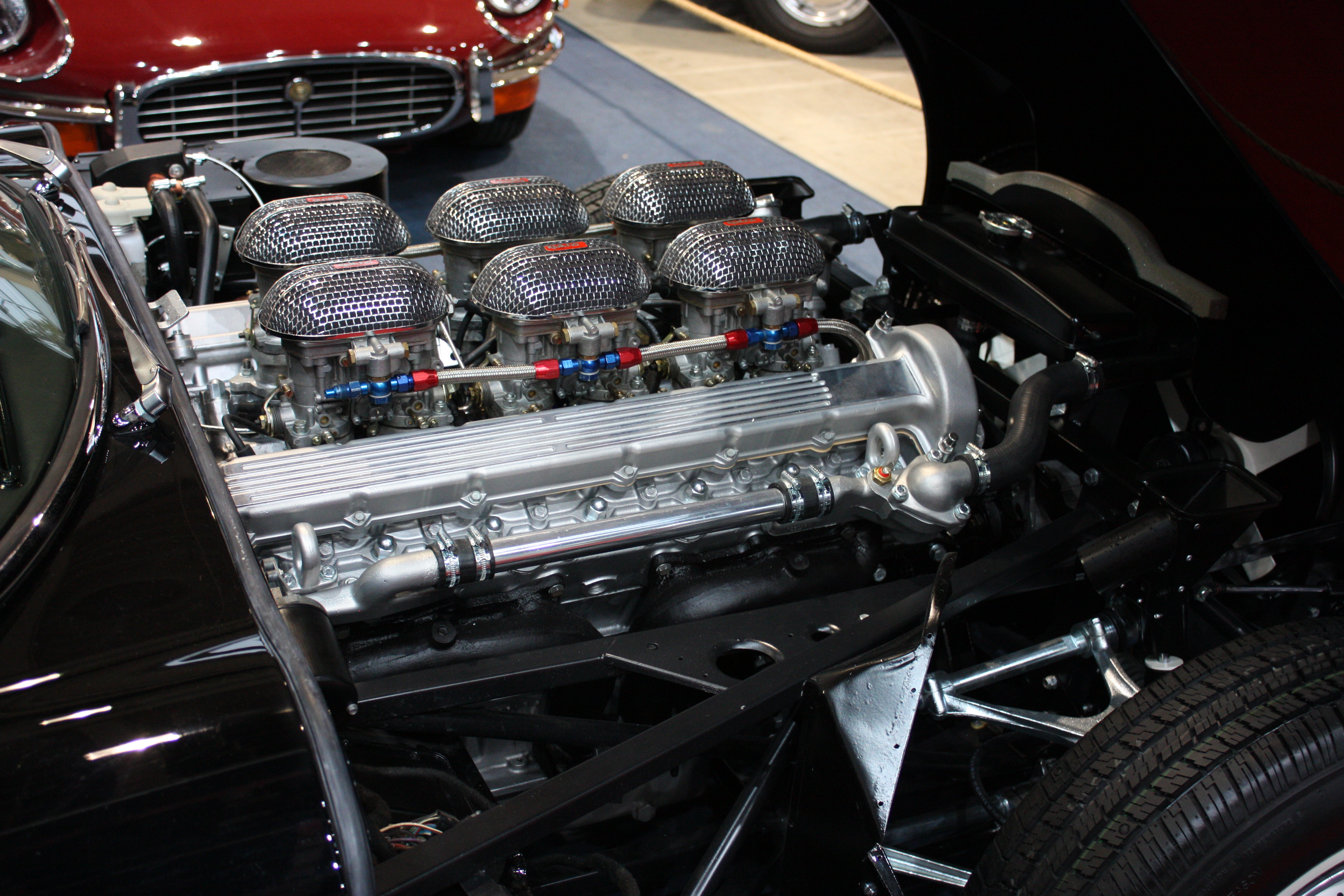 Jaguar - Flickr - jns001 (3)