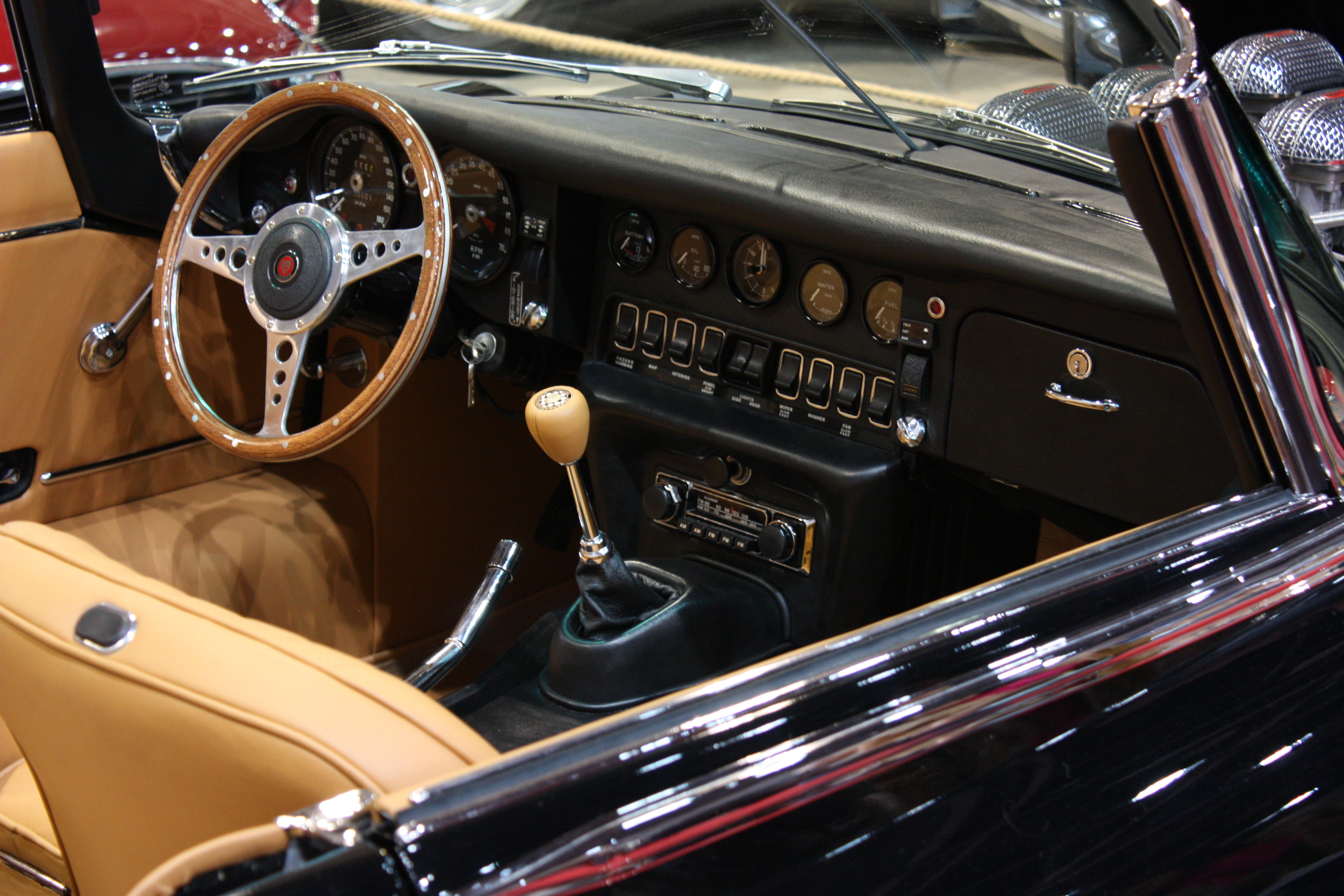 Jaguar - Flickr - jns001 (4)
