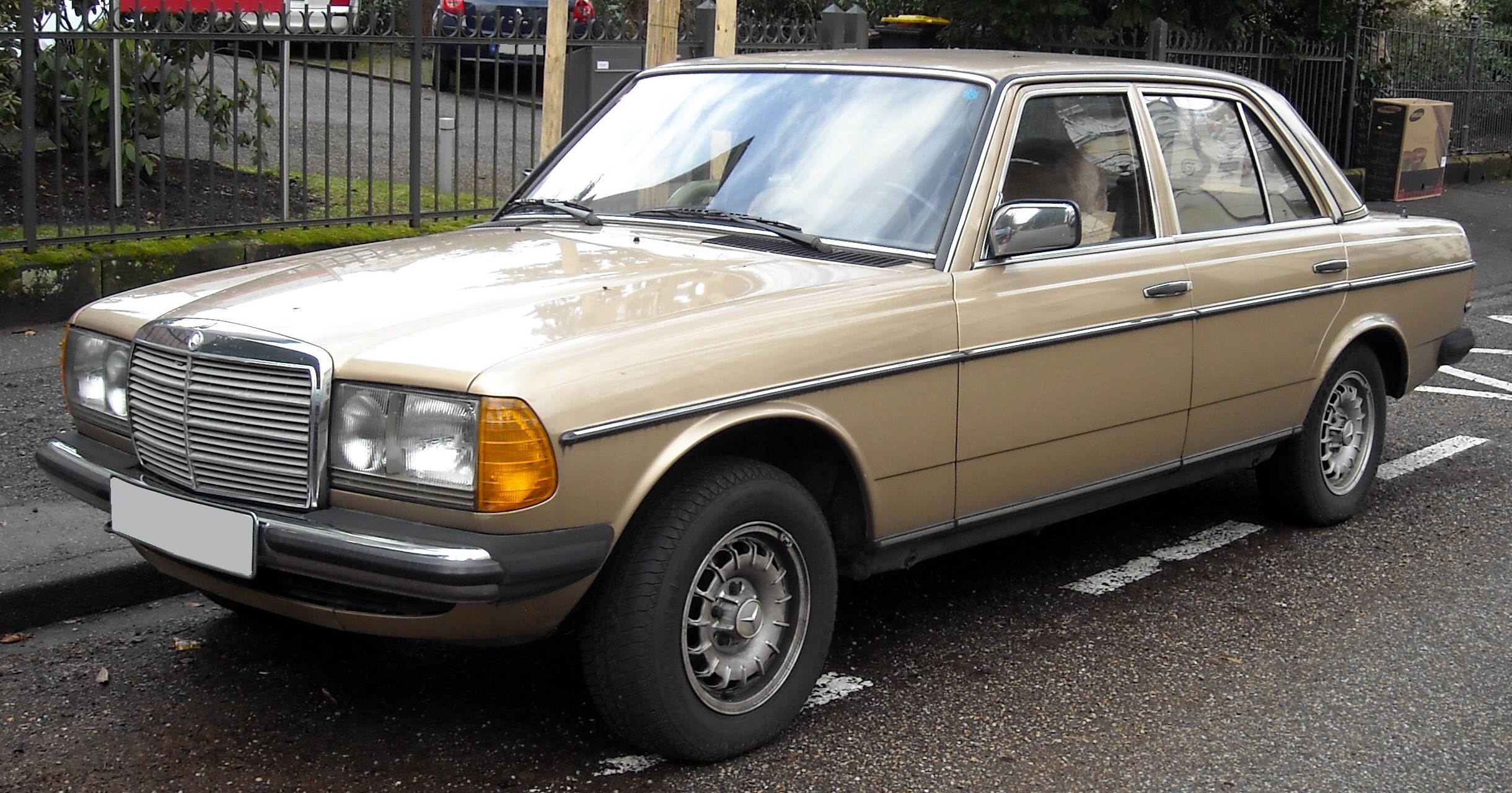 Mercedes-Benz W123 front 20090121
