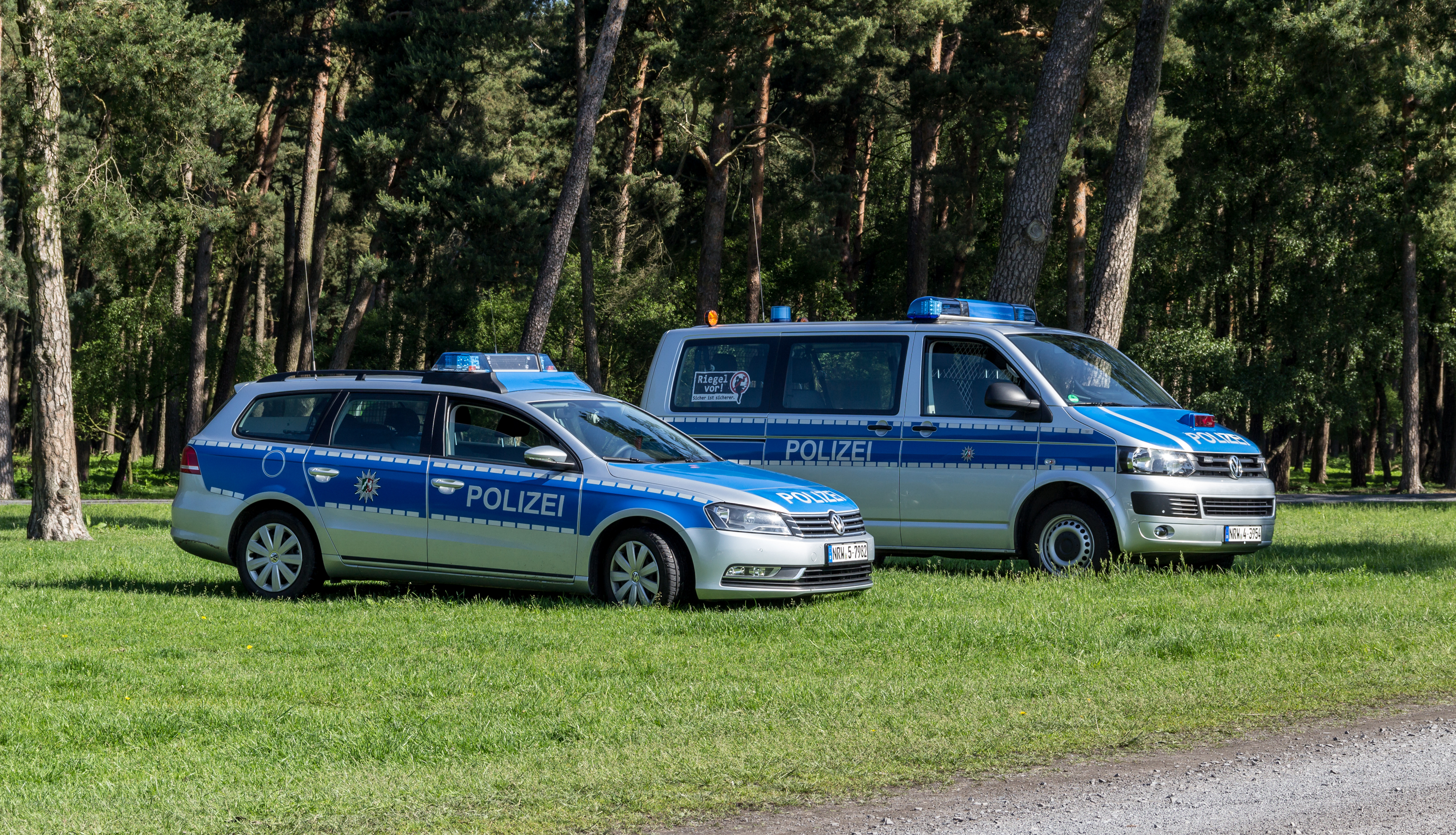 Merfeld, Wildpferdefang -- 2014 -- 7901