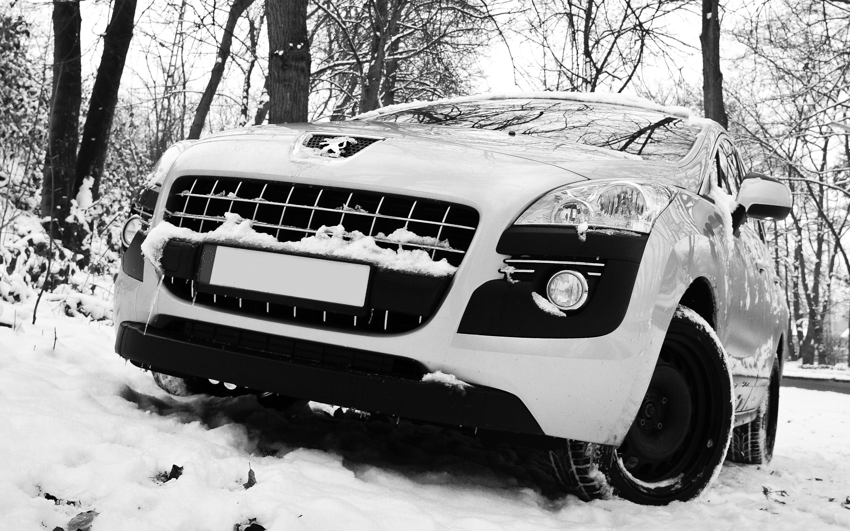 Peugeot 3008 in the snow